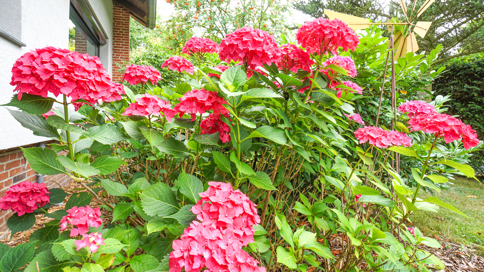 Familiengerechtes Anwesen in idyllischer Wohnlage und eigenem Bootsanlegerplatz in 23816 Neversdorf. – Bild 16