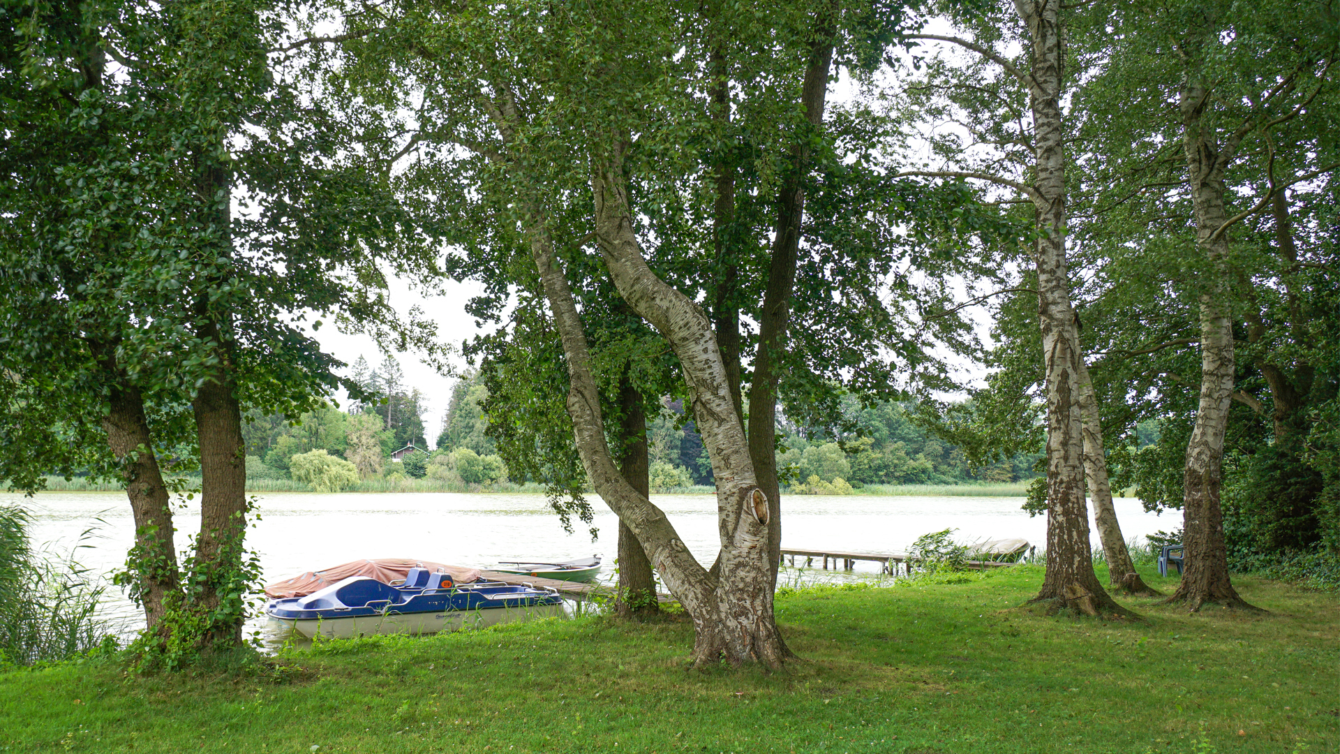 Familiengerechtes Anwesen in idyllischer Wohnlage und eigenem Bootsanlegerplatz in 23816 Neversdorf. – Bild 41