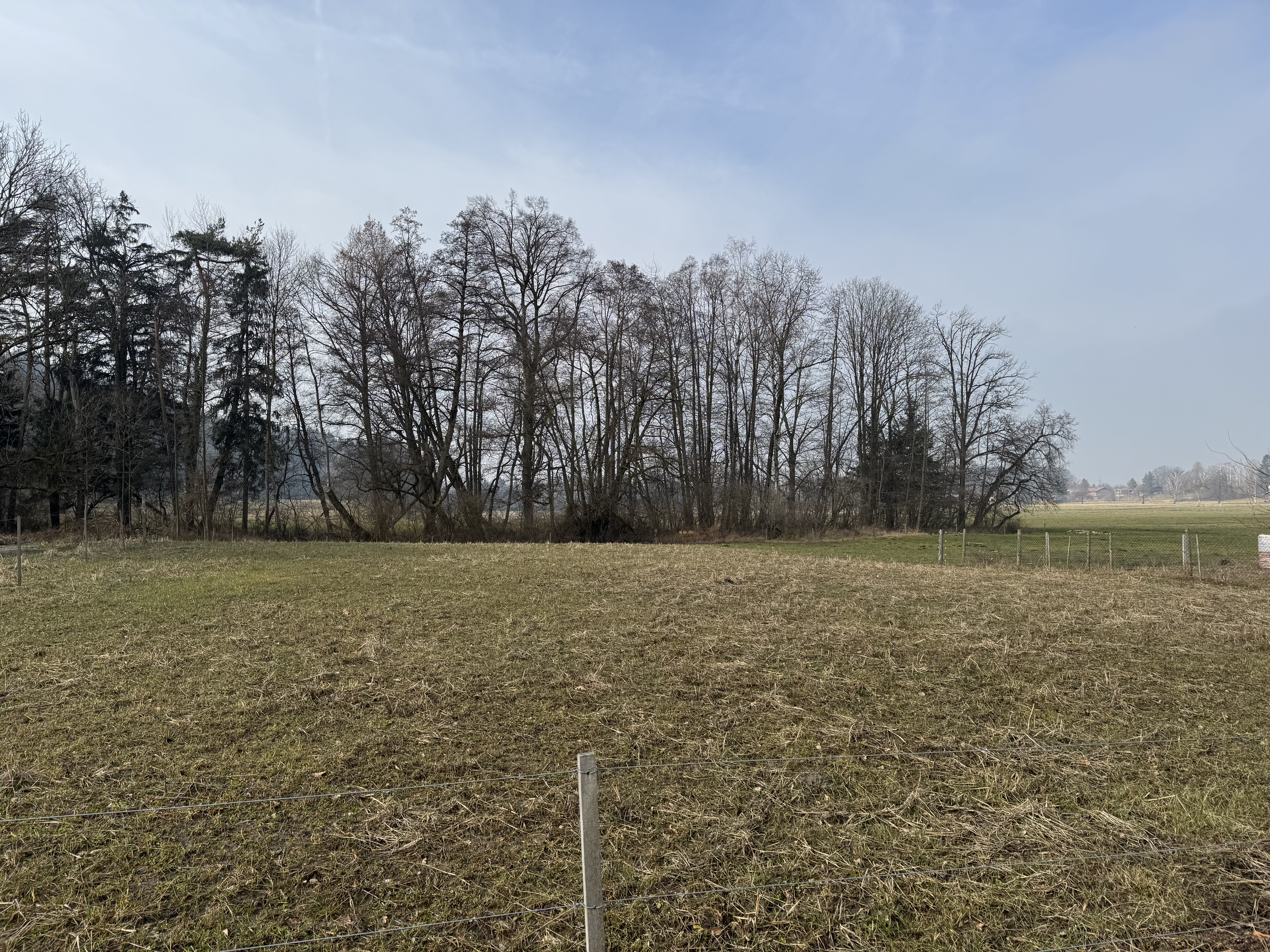 LUXUS ANWESEN MIT 13.750 QM IN ÜBERSEE AM CHIEMSEE – VERKAUF - IMG_0328