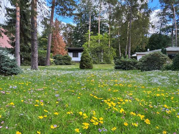 Baugrundstück in Schönwalde-Glien, angelegter Garten, in ruhiger Einfamilienhaussiedlung