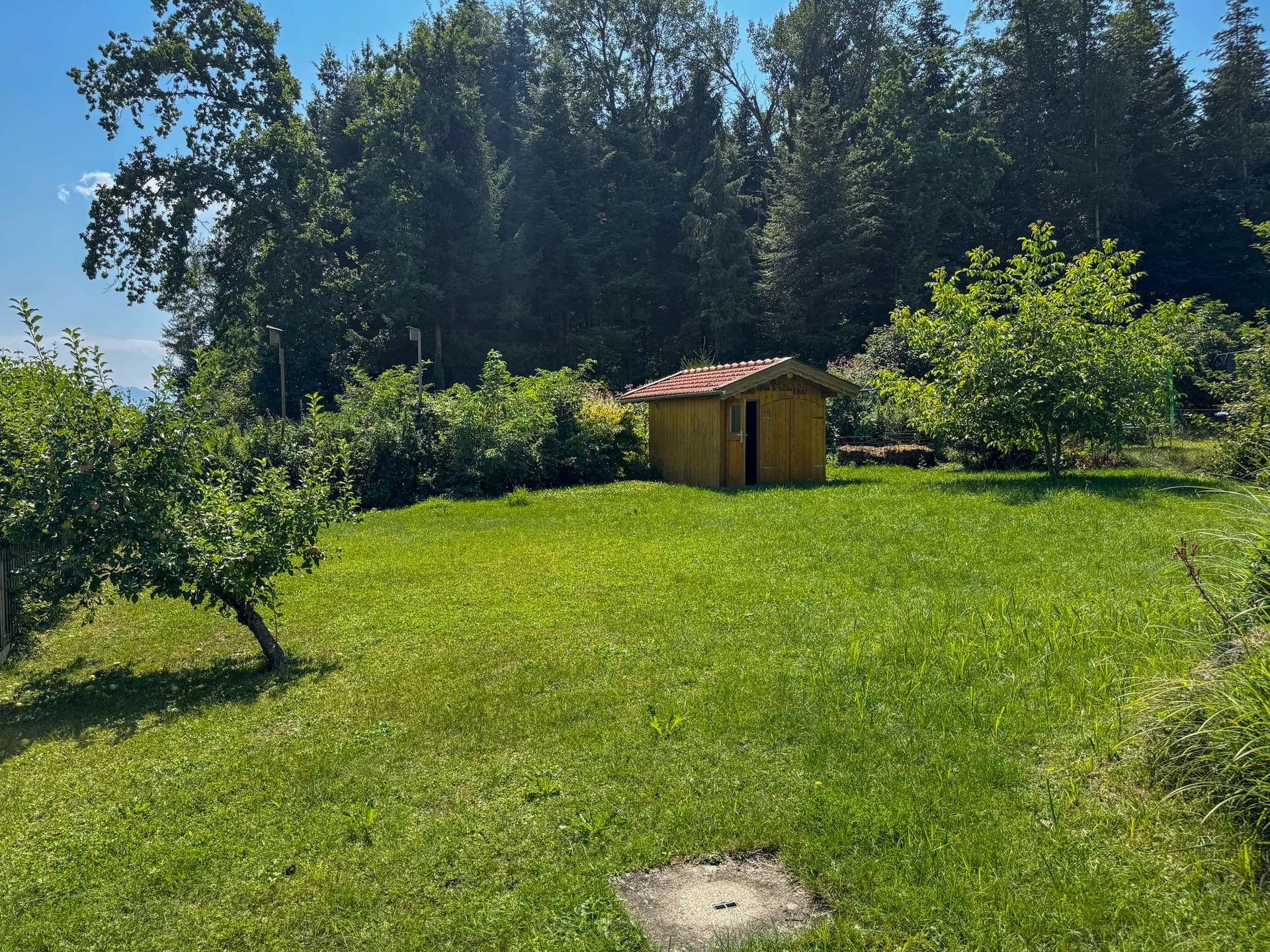 Garten 