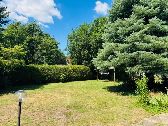 Gartenimpressionen