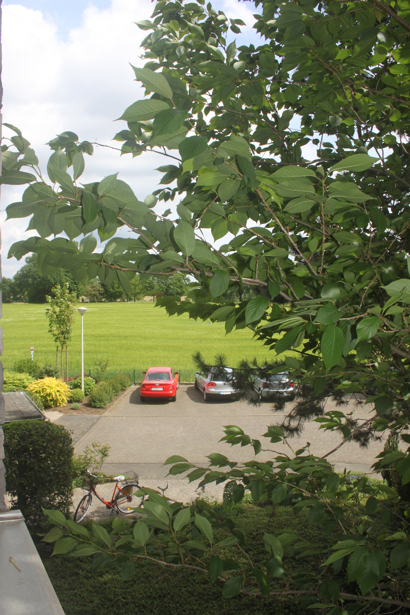 Blick über die Felder