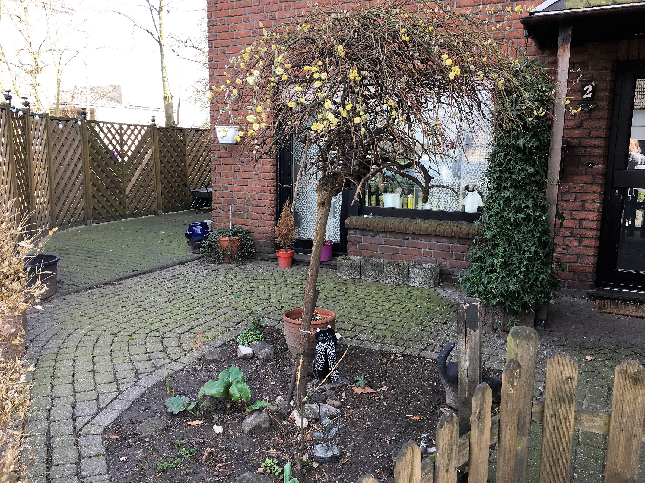 Grundstück / Terrasse