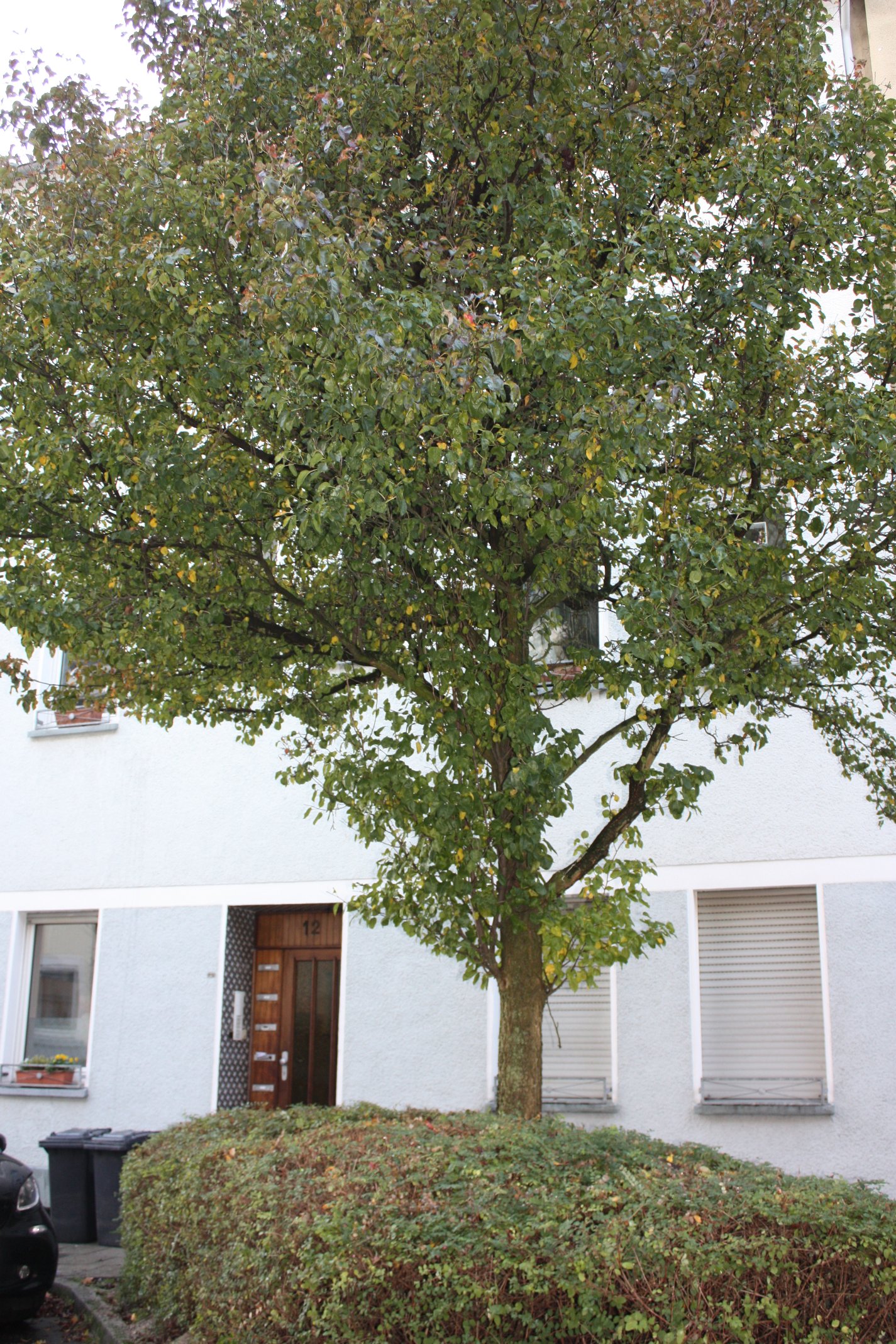 Kleine 2 1/2-Raum-Wohnung in Essen-Frohnhausen