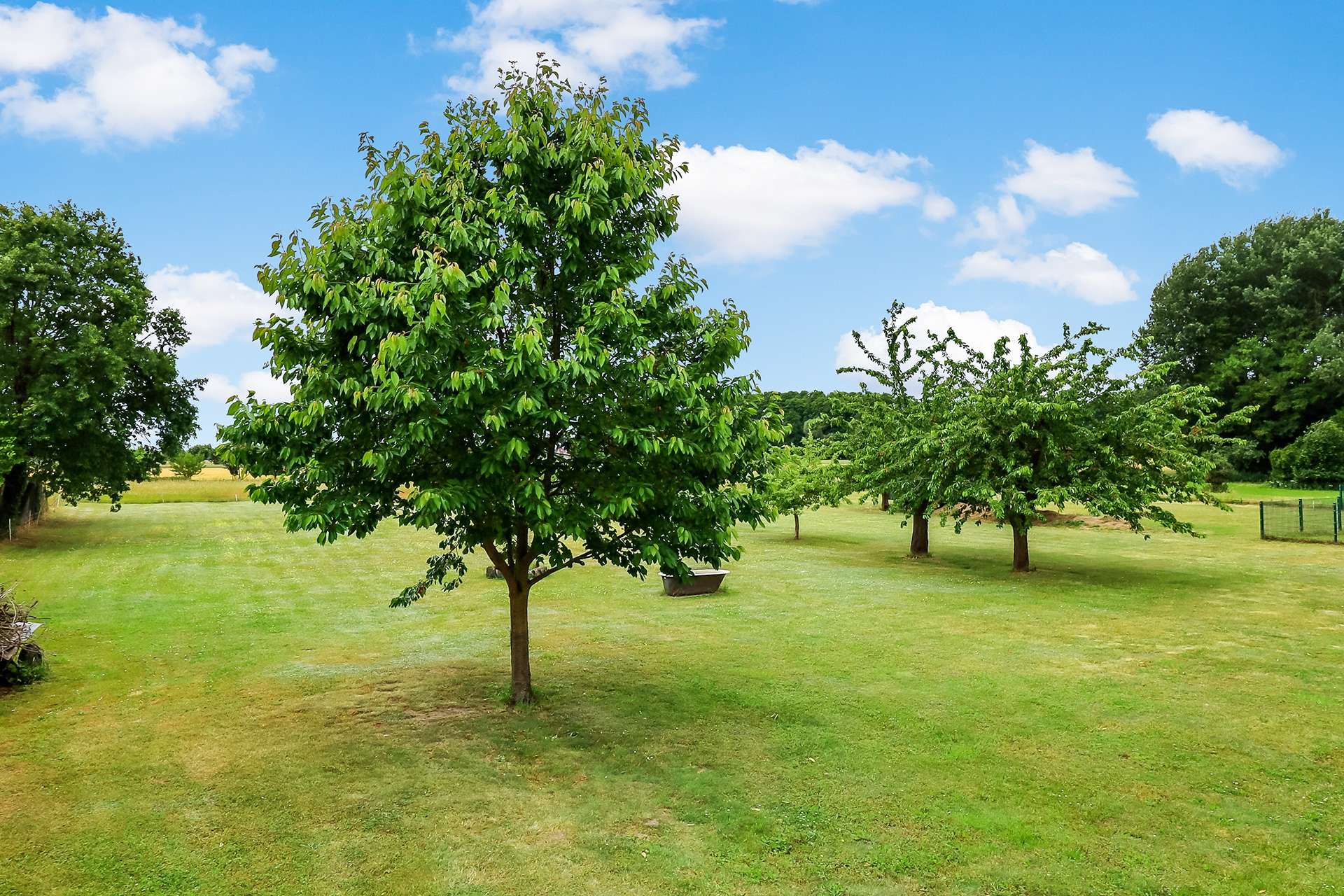Garten