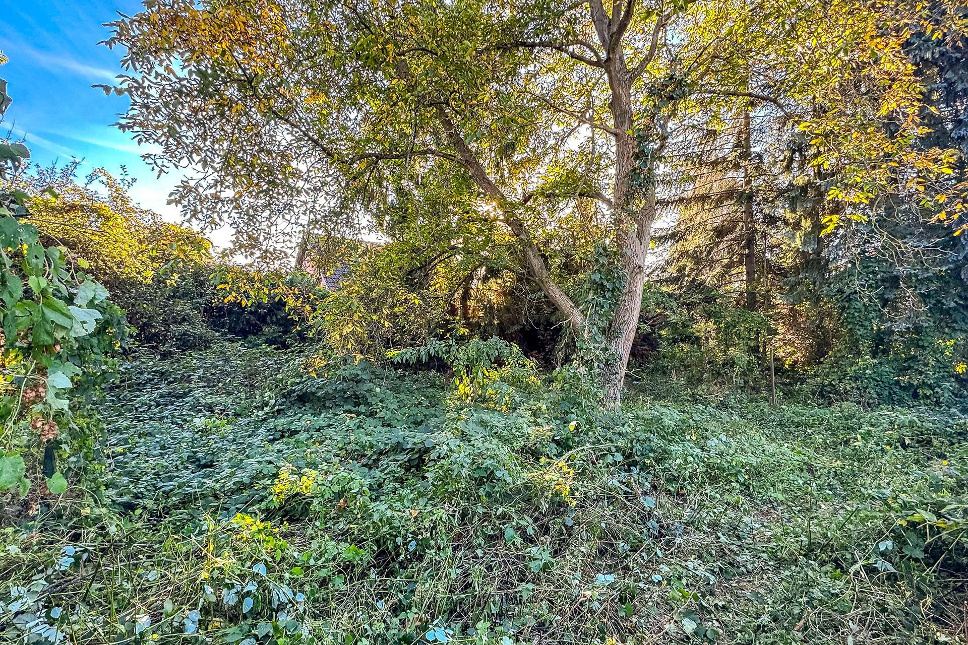 Hinterer Grundstücksteil