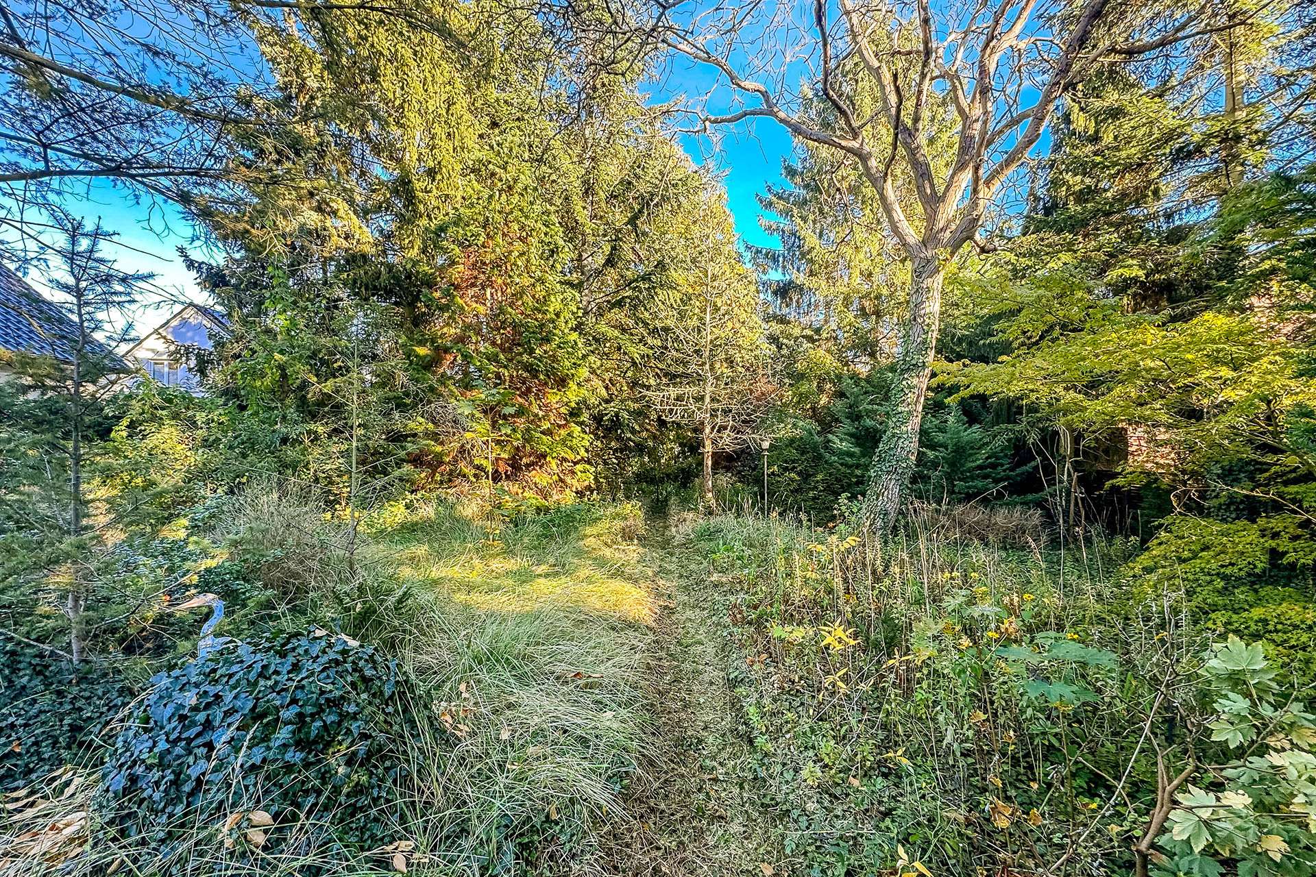 Mittlerer Grundstücksteil