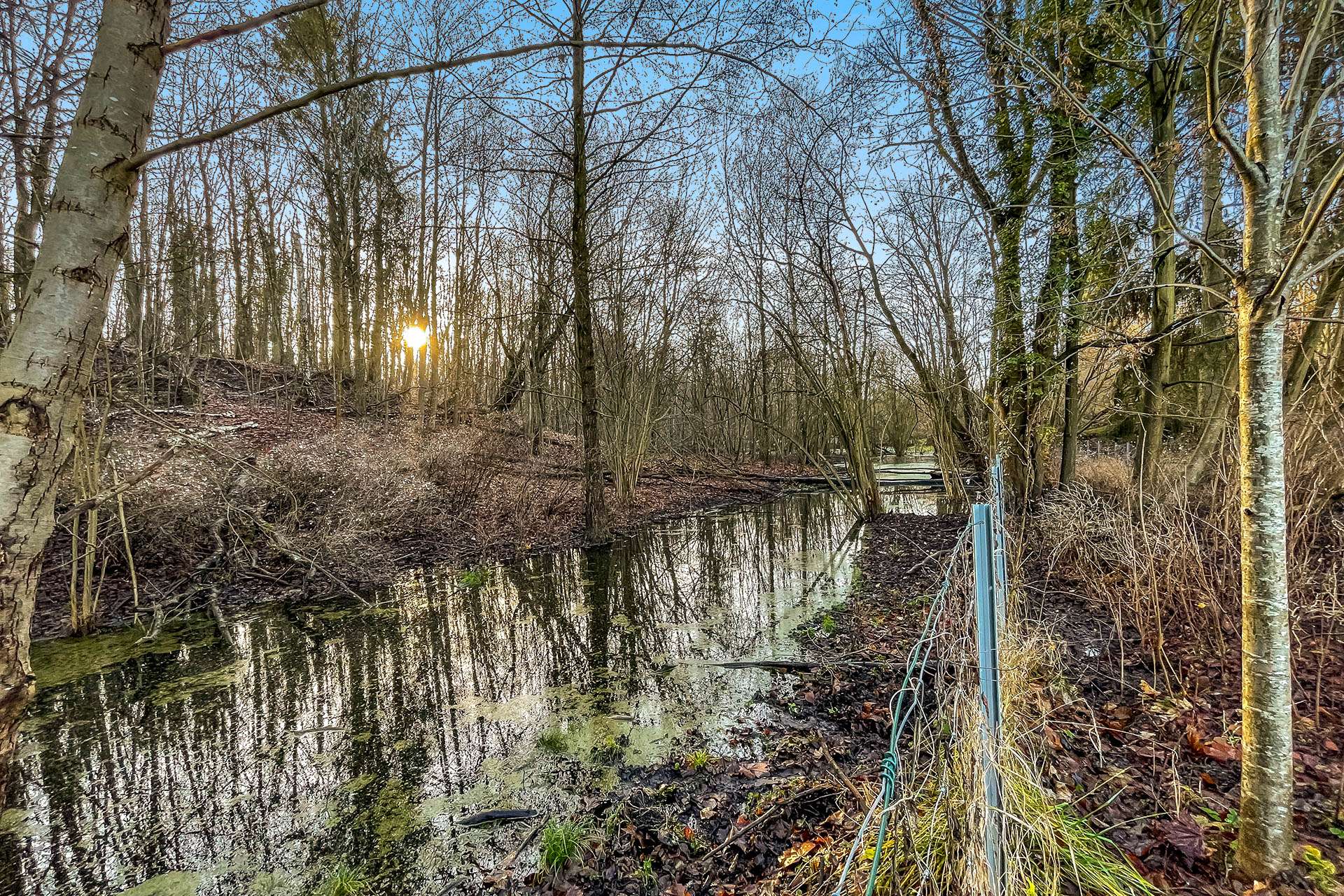 Grundstücksansicht hinten