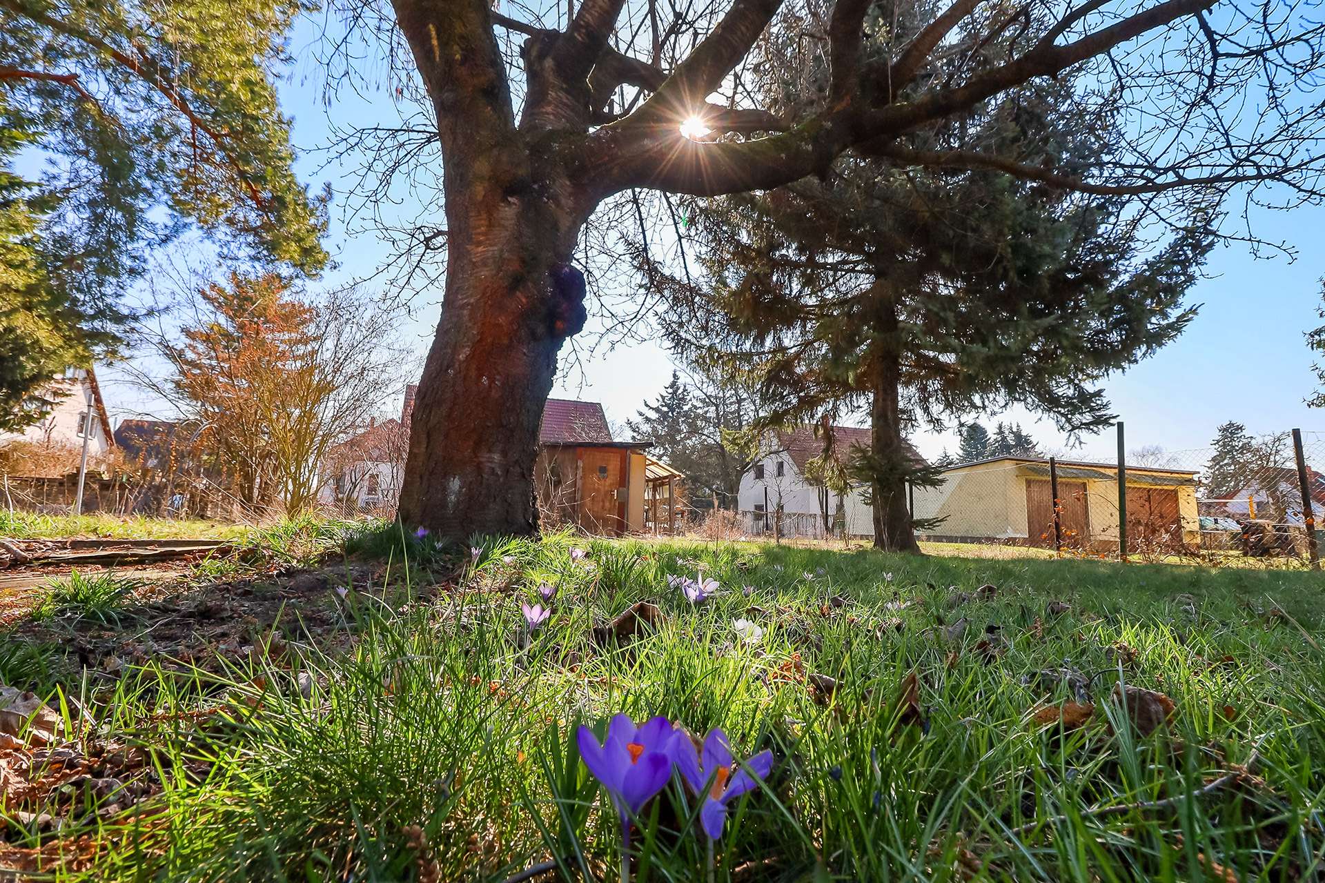 Grundstückansicht
