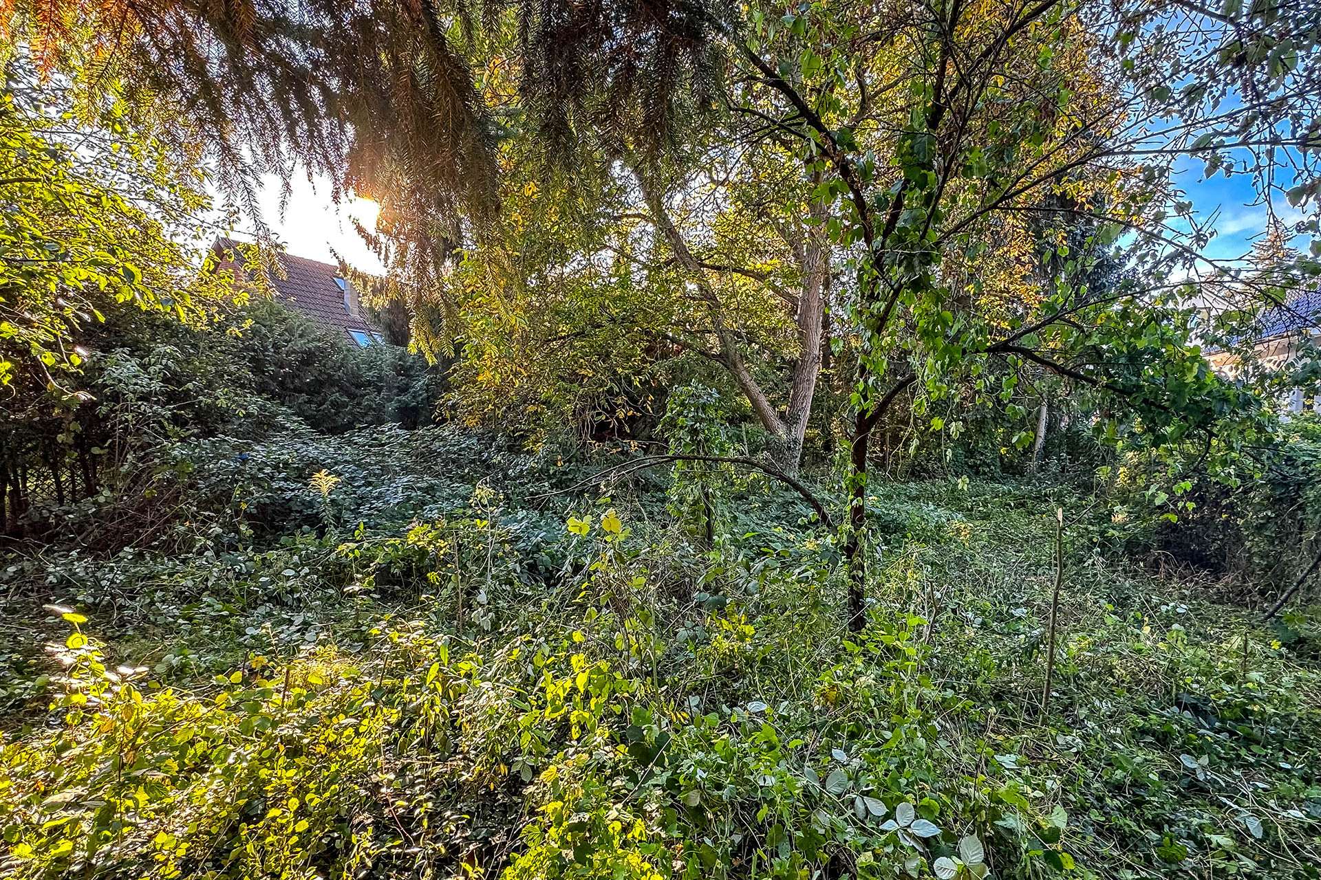 Hinterer Grundstücksteil