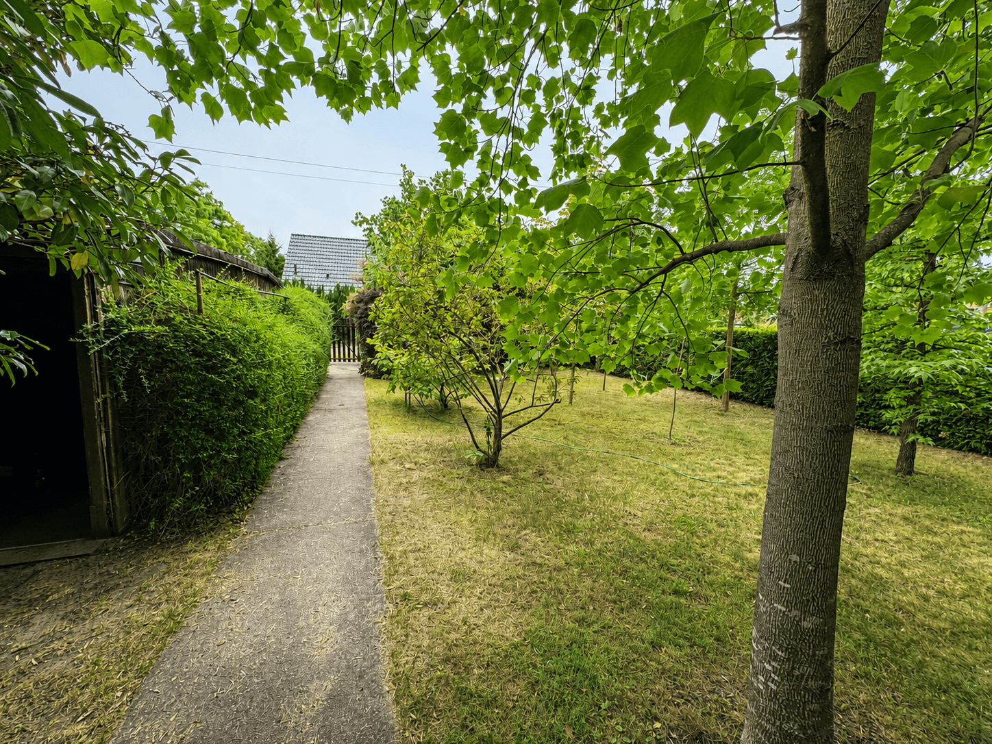 Garten