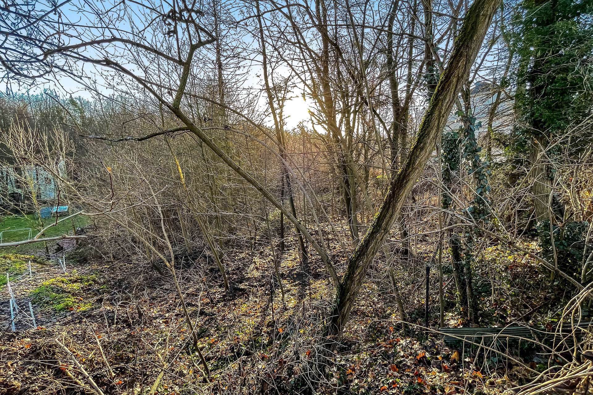 Grundstücksansicht