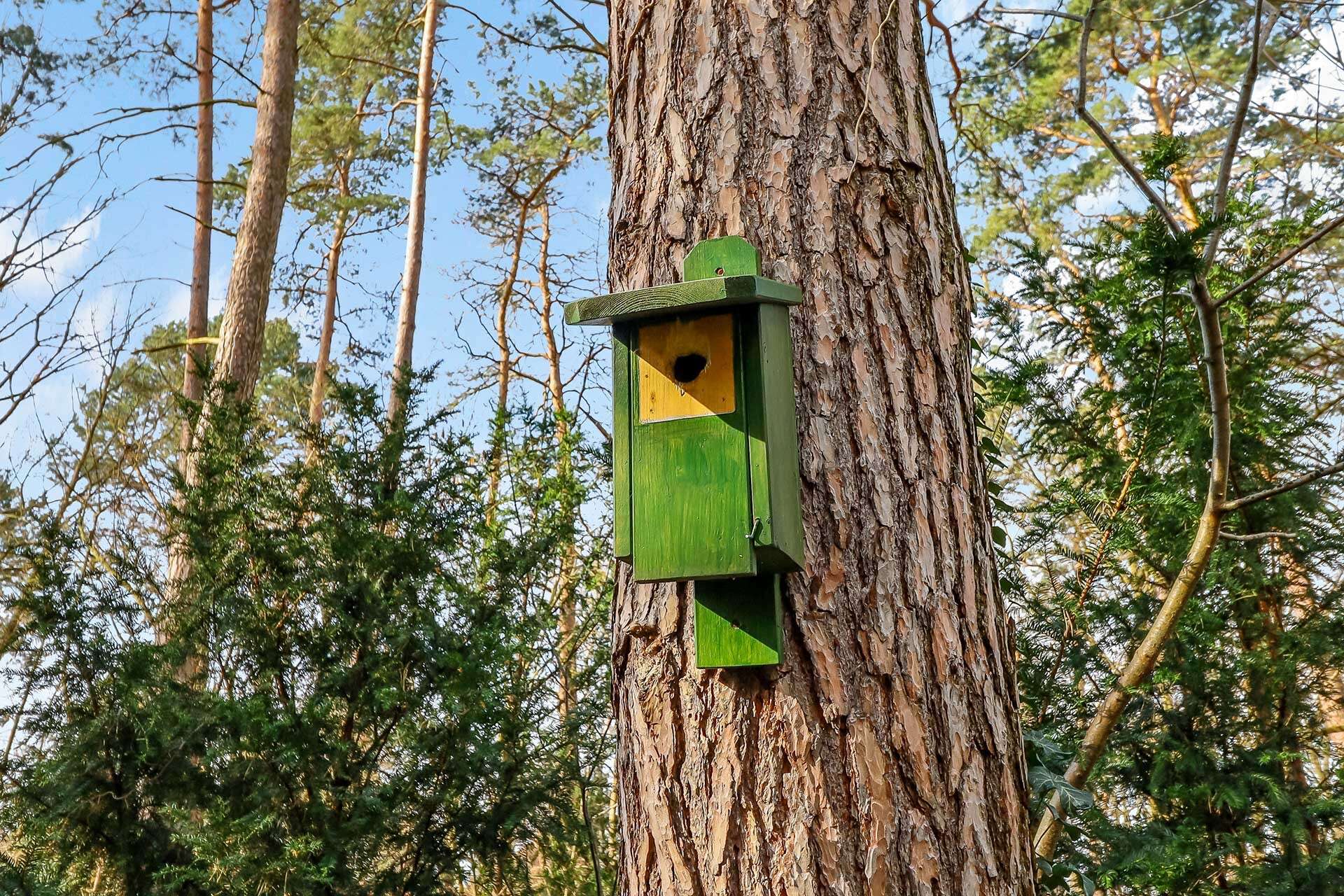 Detailbild Vogelhaus