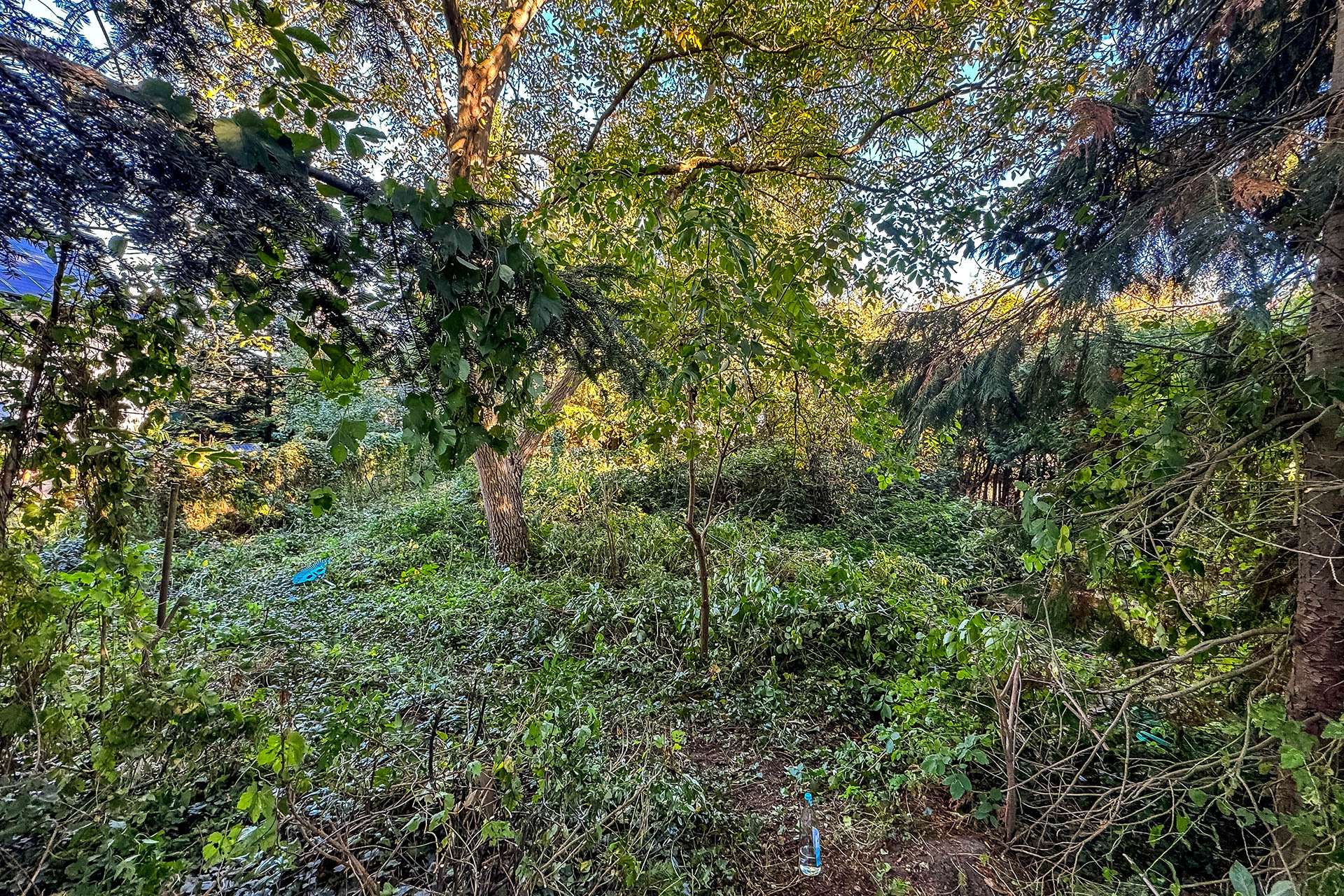 Hinterer Grundstücksteil