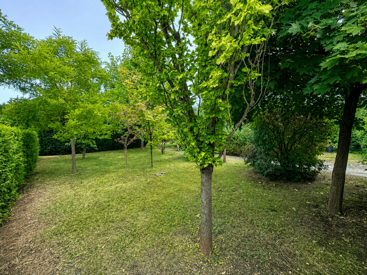 Garten