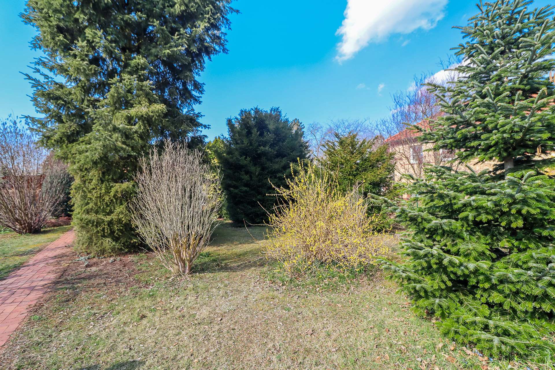 Gartenansicht vorne