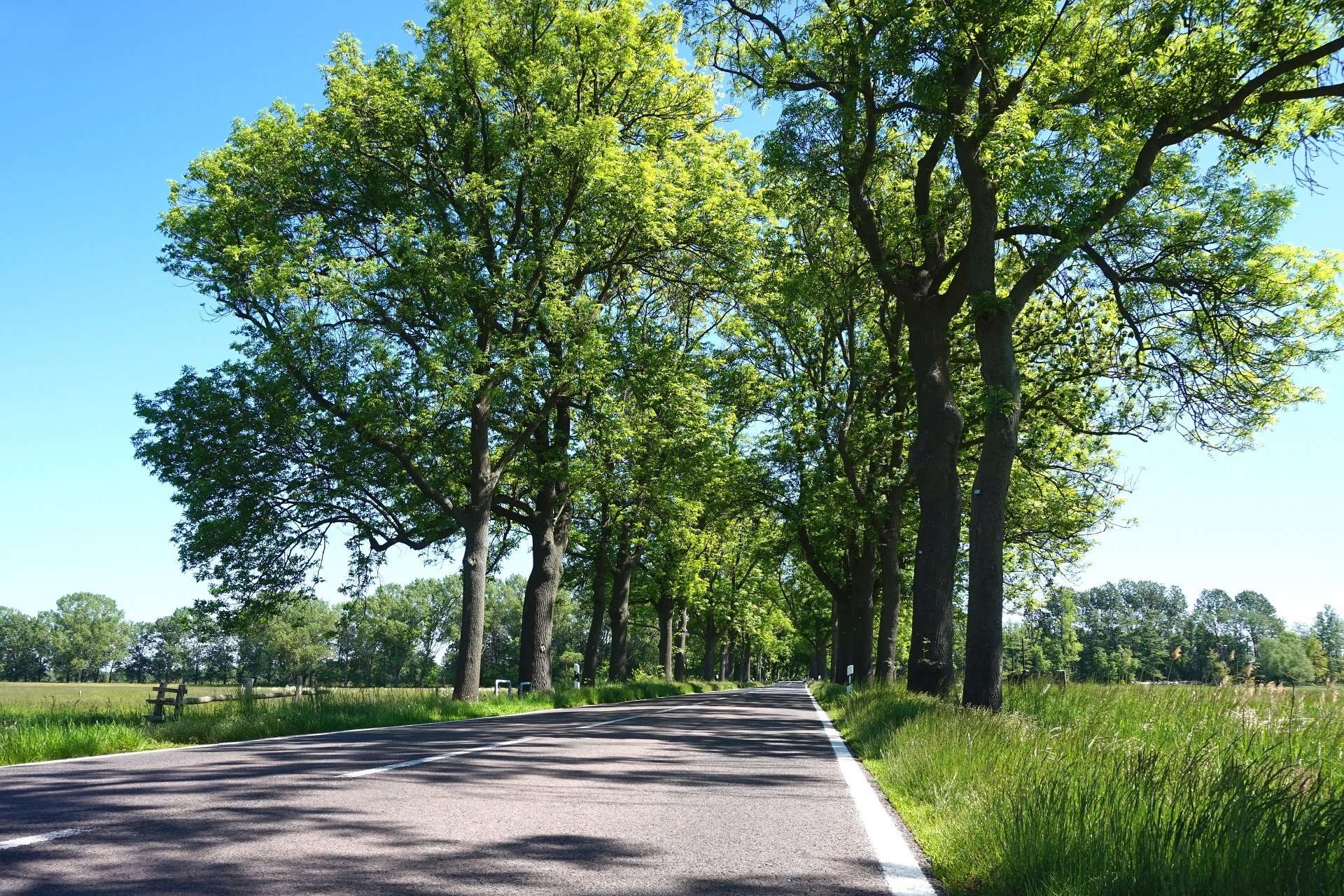 Umgebungsbild Landstraße
