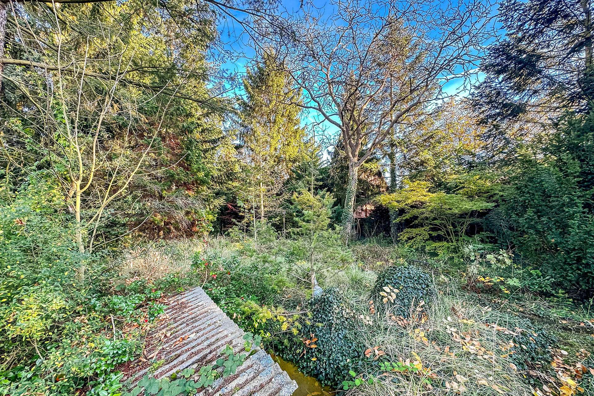 Mittlerer Grundstücksteil