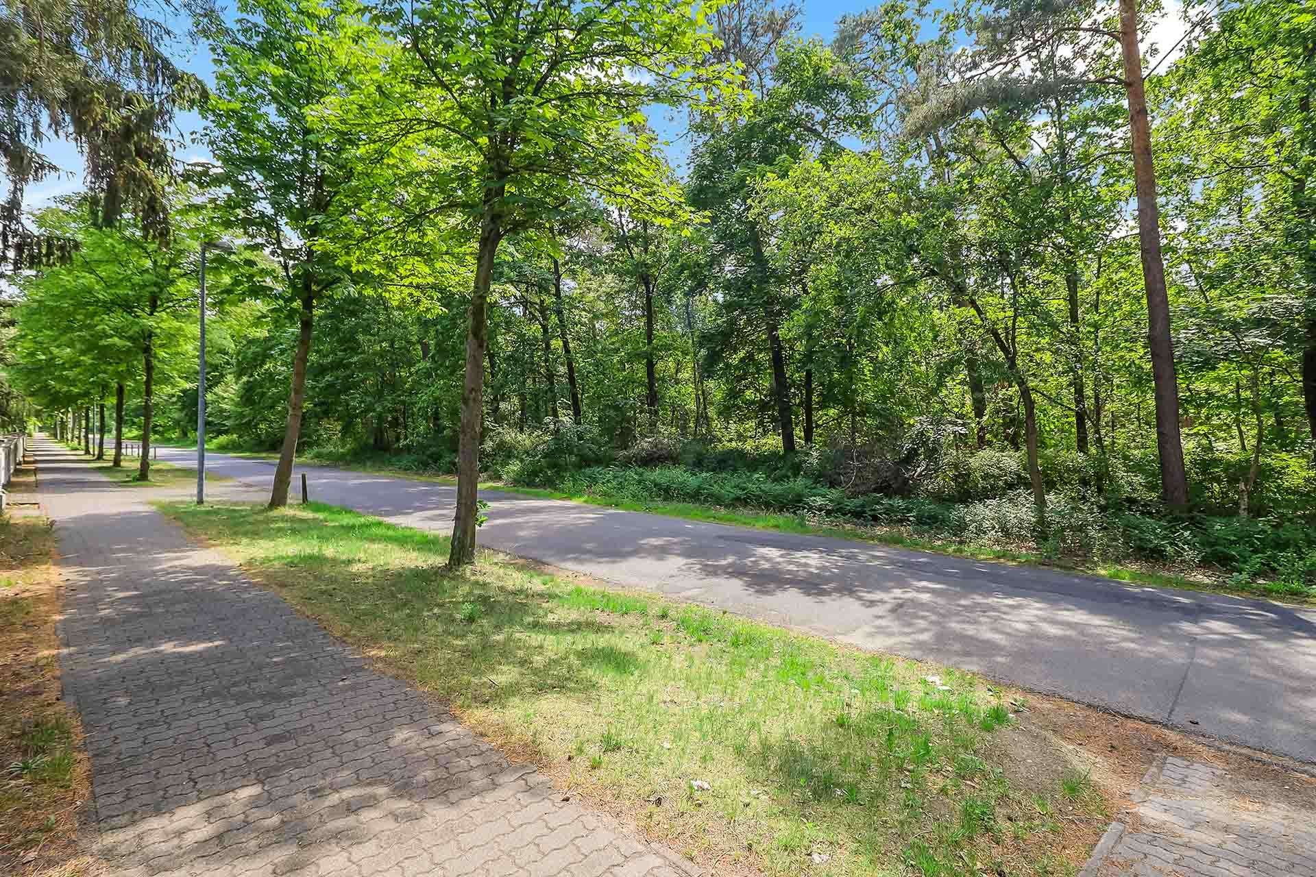 Wald gegenüber