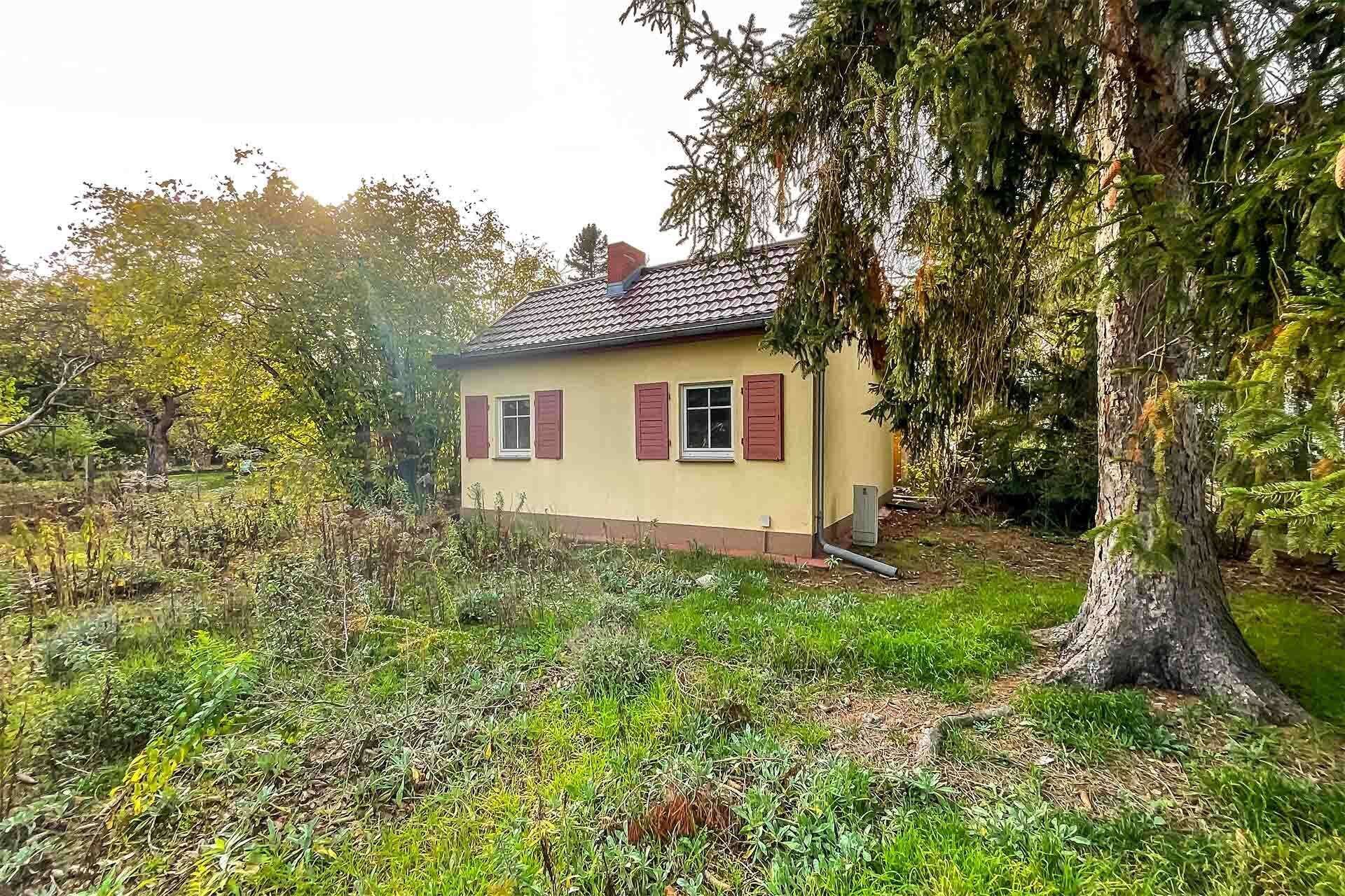 Haus