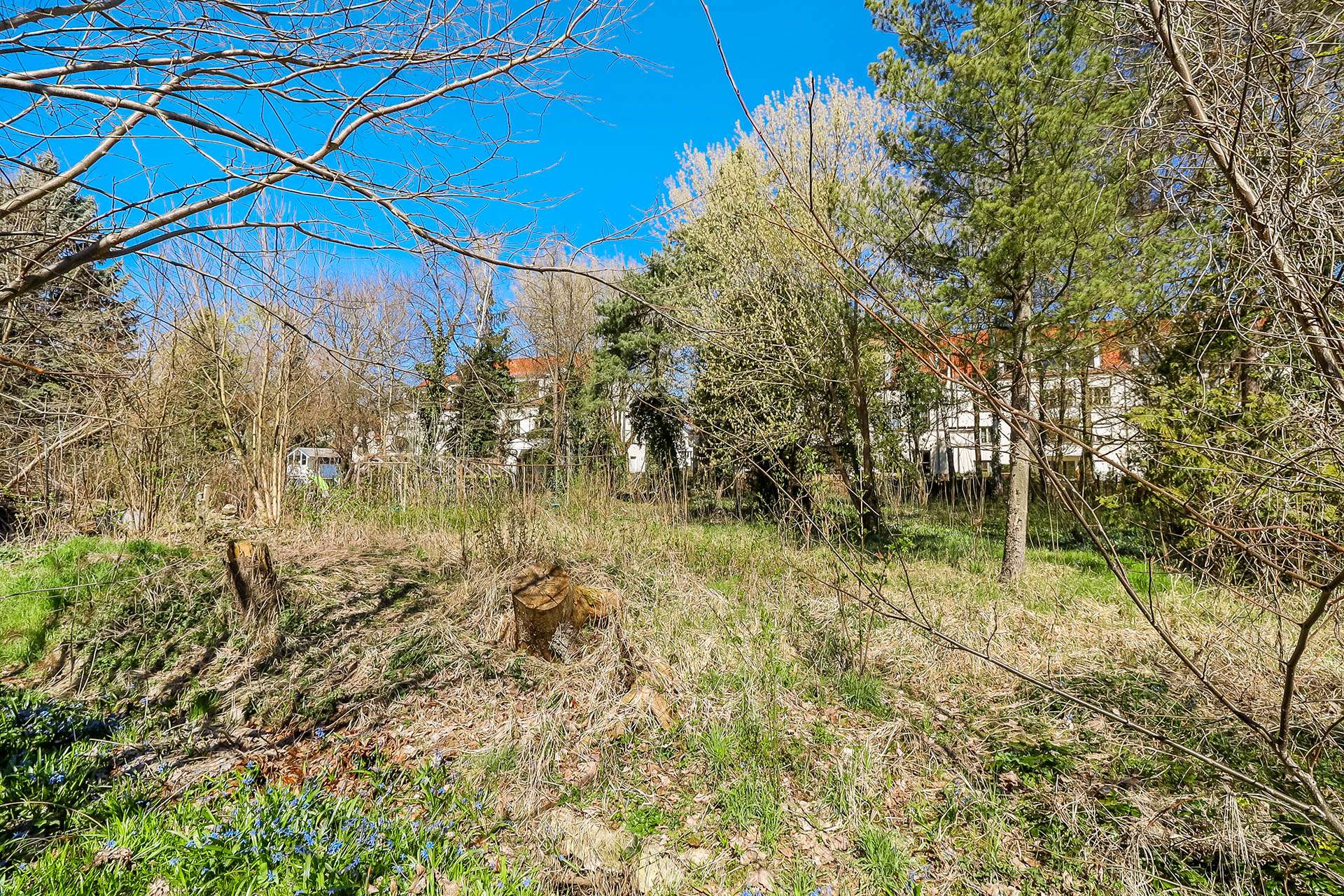 Grundstücksansicht