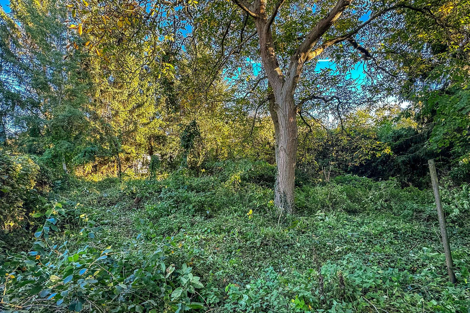 Hinterer Grundstücksteil