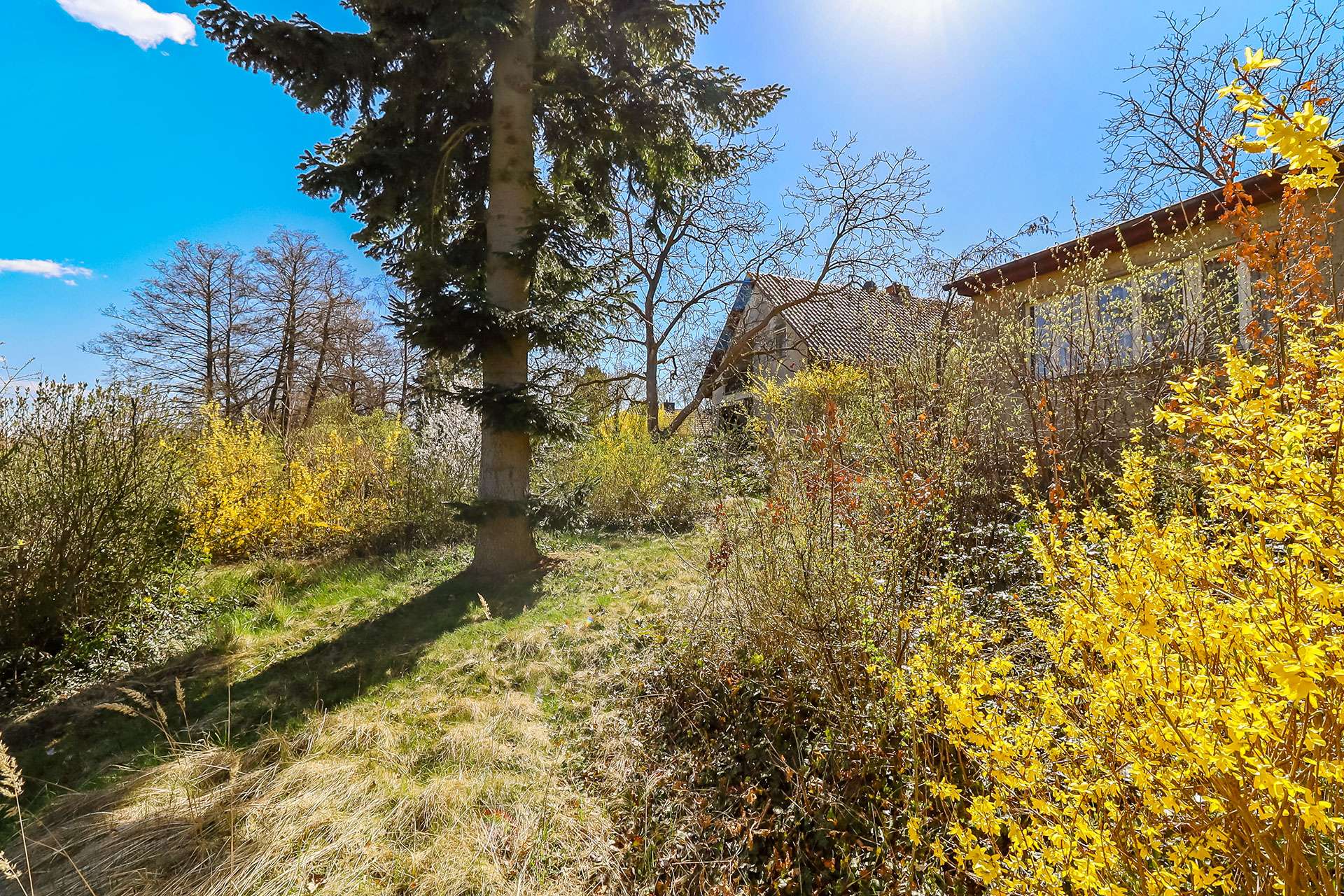 Grundstücksansicht