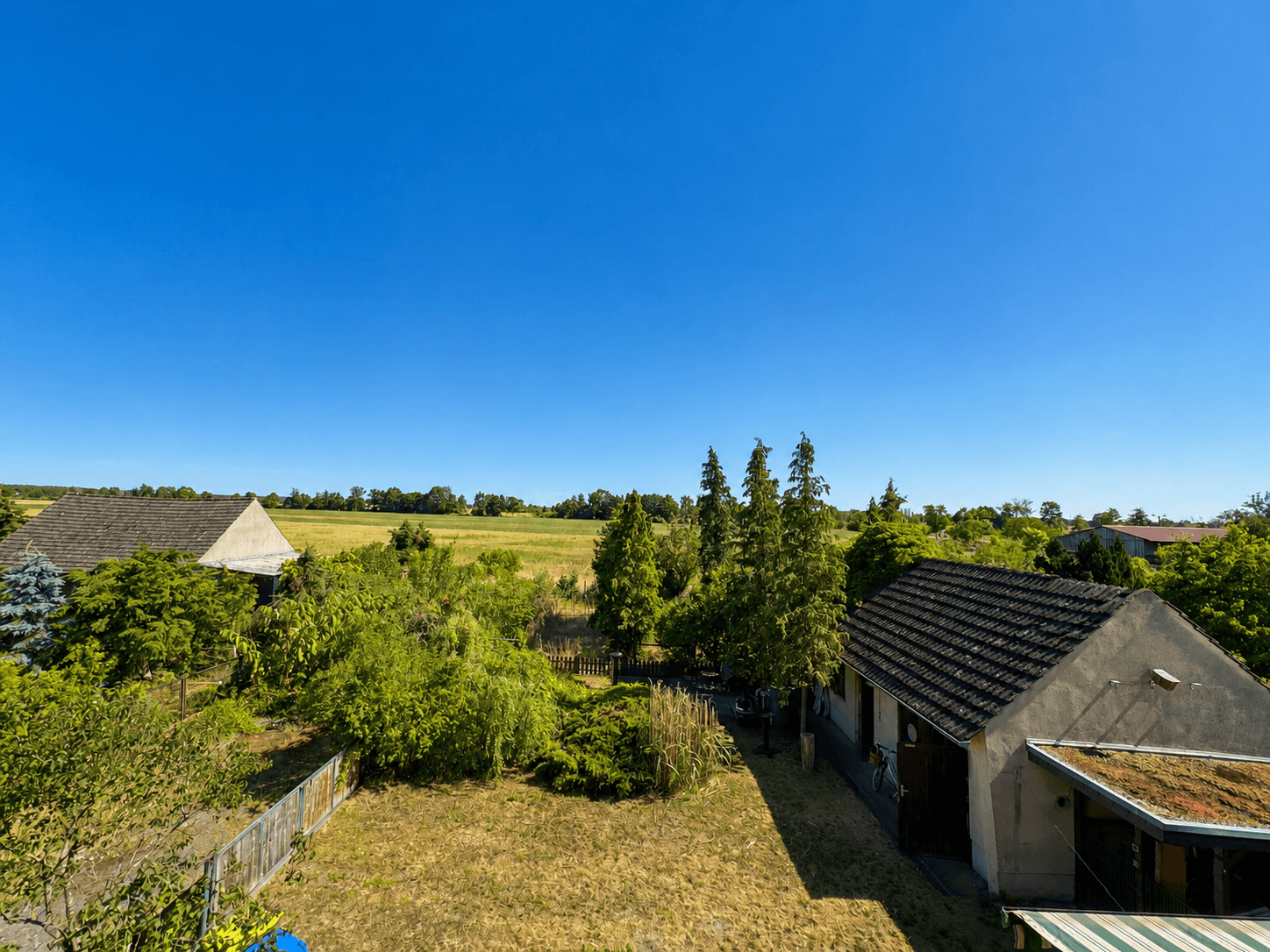 Blick in den Garten