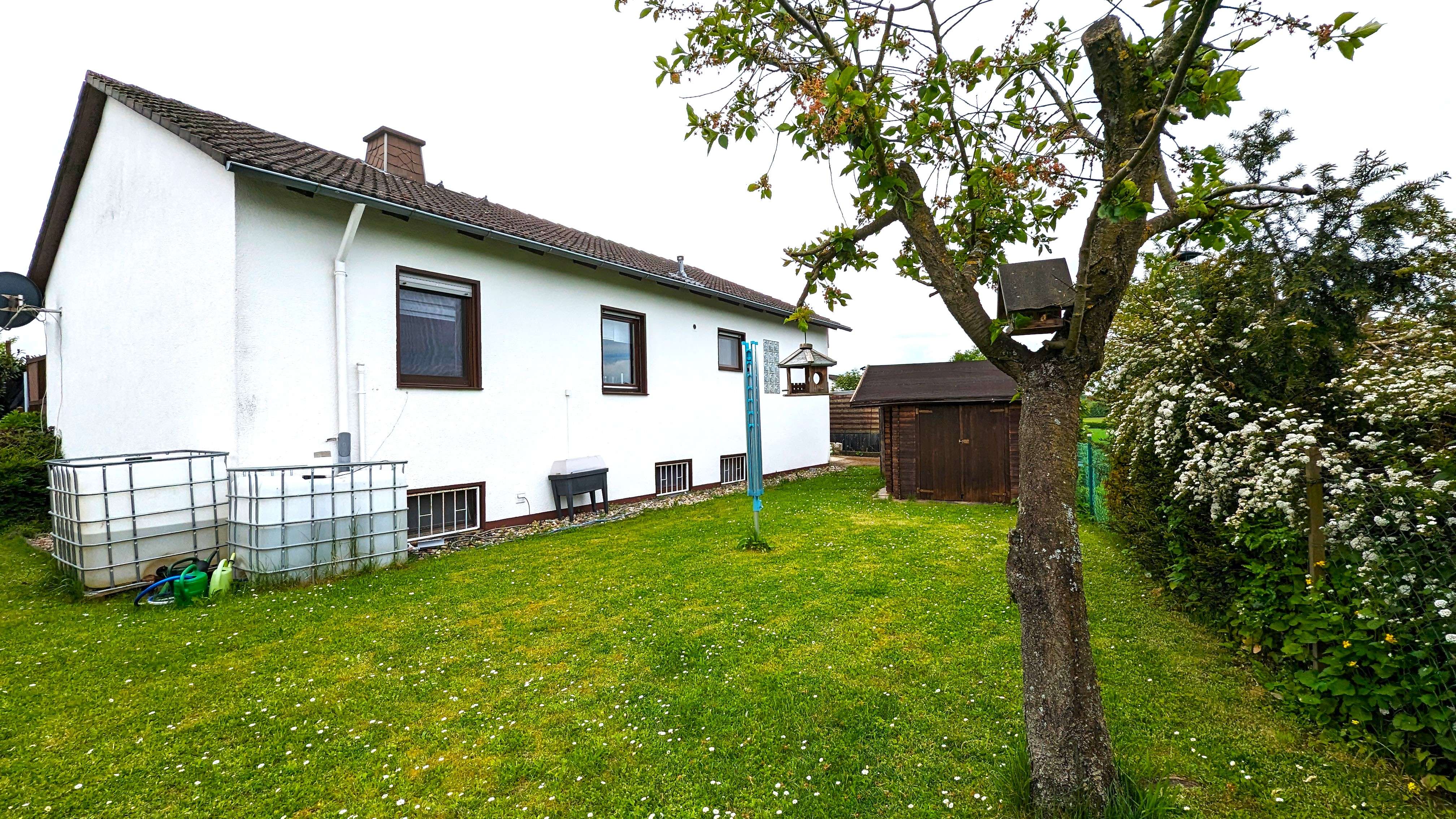 PXL_20240506_103034094