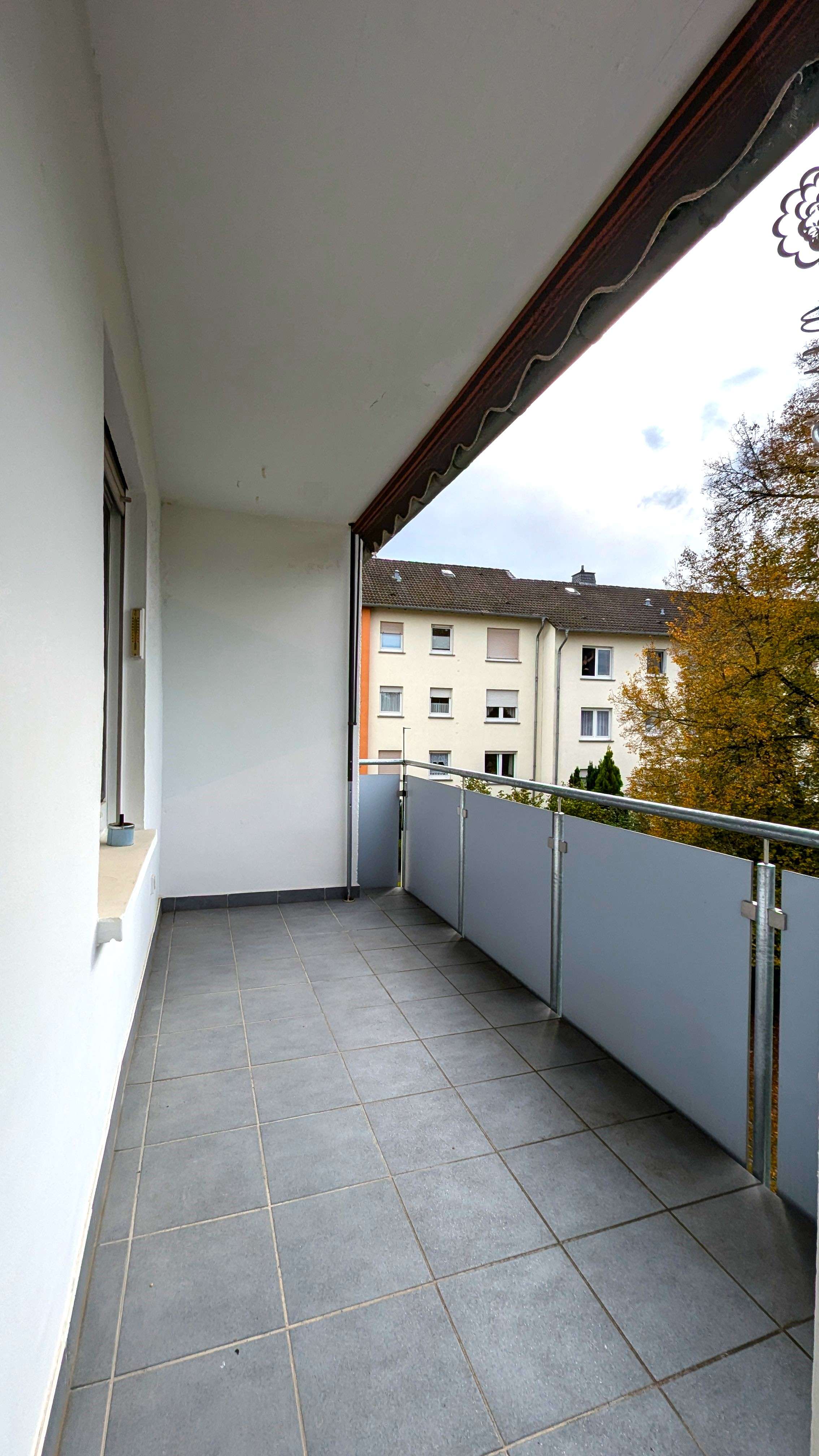 PXL_20241012_130823050