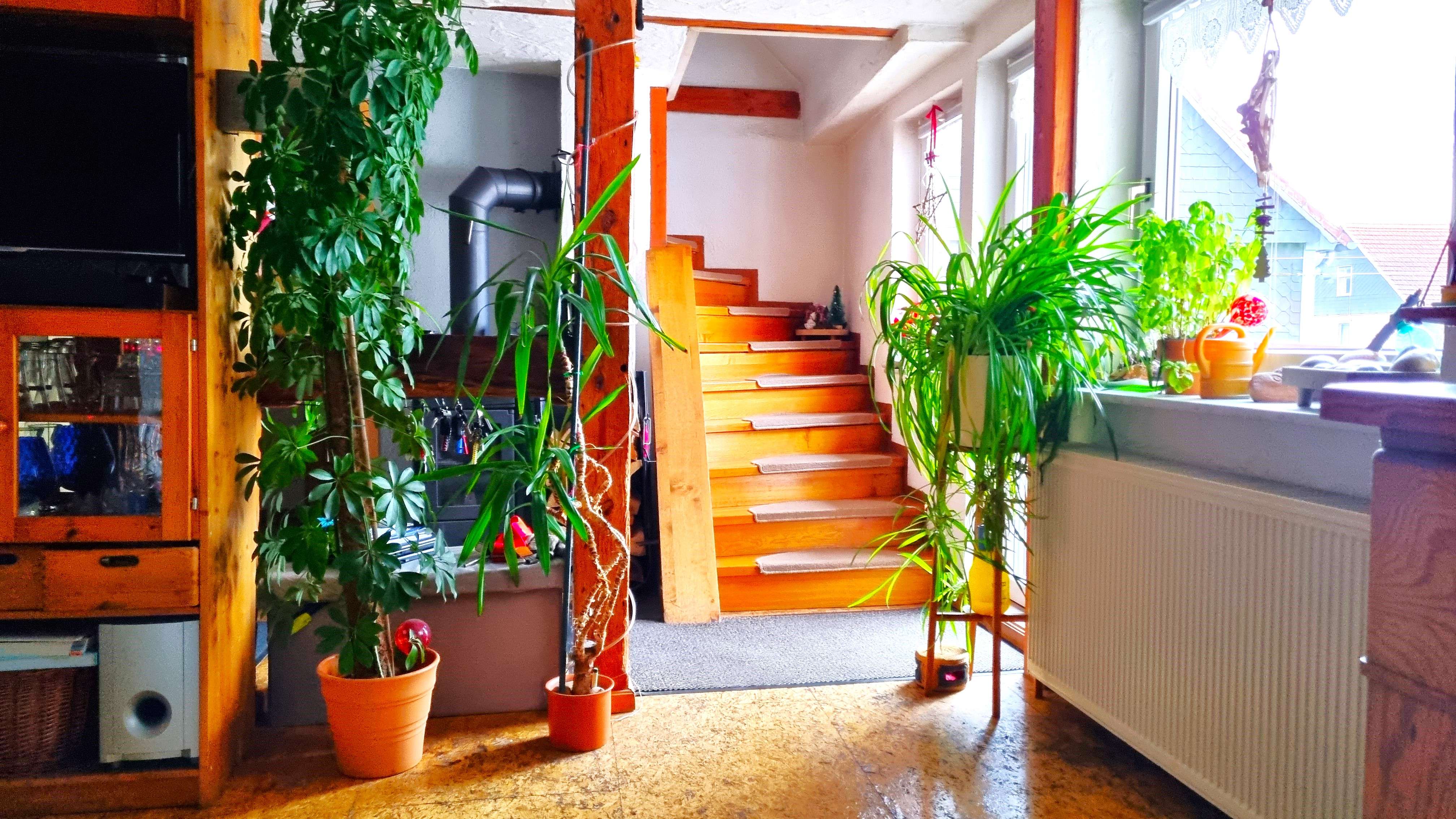 Sicht vom Wohnzimmer zum Flur