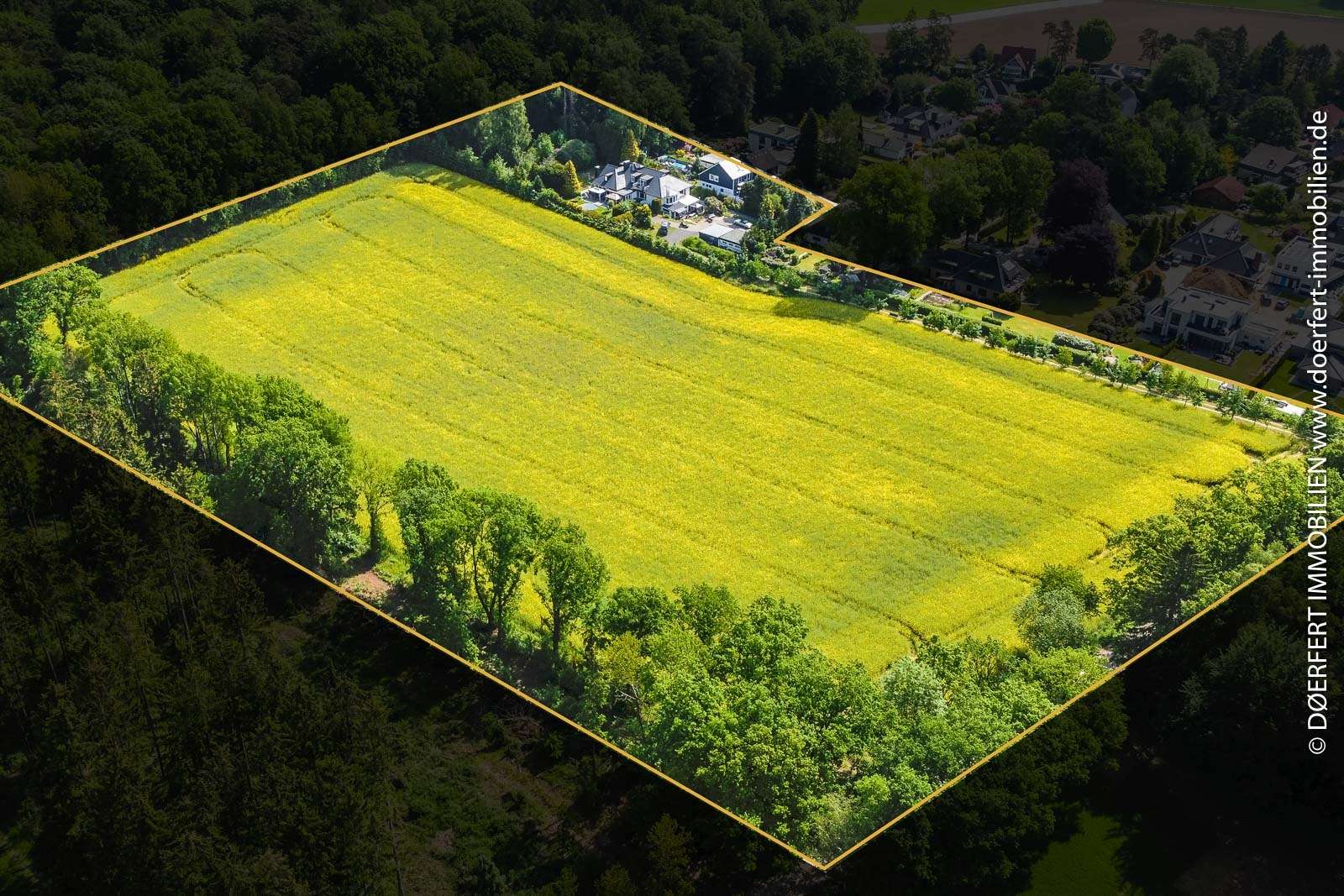 Paradies für Reiter und Pferdeenthusiasten: Reedervilla mit Feld, Koppel und privatem Waldzugang – Bild 3