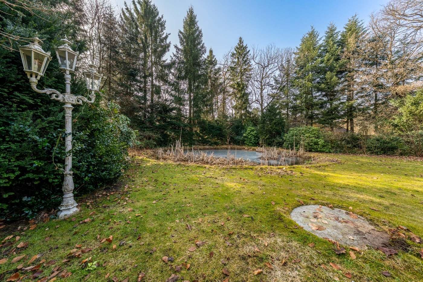 Ruhe, Natur, Lebensqualität: 
Ihr großzügiges Grundstück in Dassendorfs Top-Lage – Bild 4