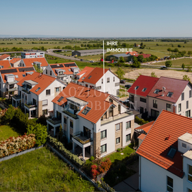 Toplage Fronhof II