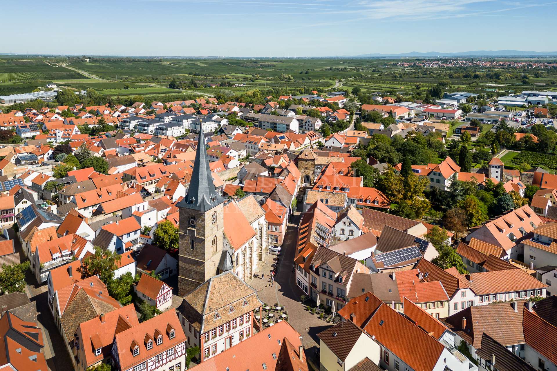 Freinsheim