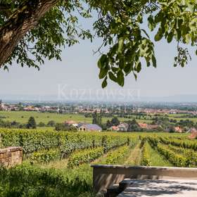 Panoramablick