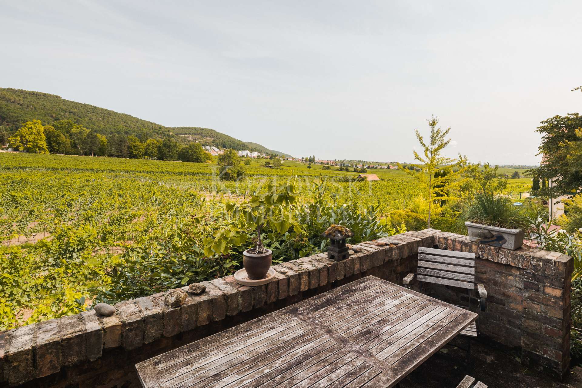 Terrasse am Weinberg