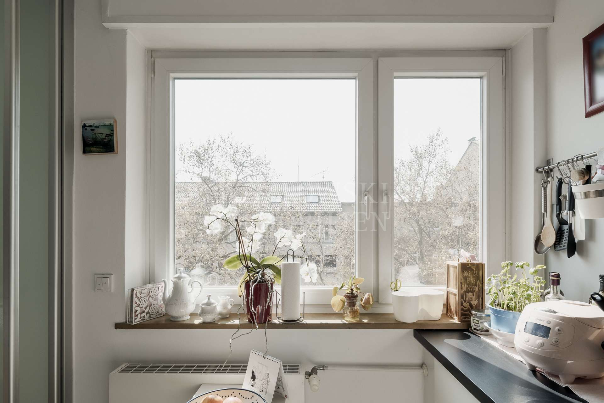 Ausblick