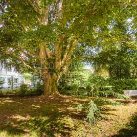 Gemeinschaftsgarten