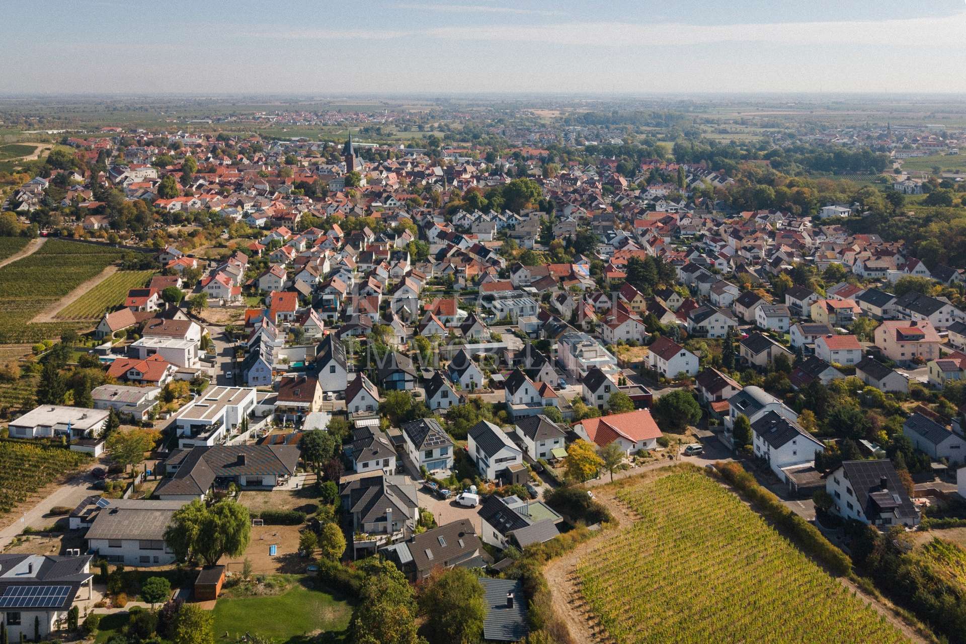 Deidesheim