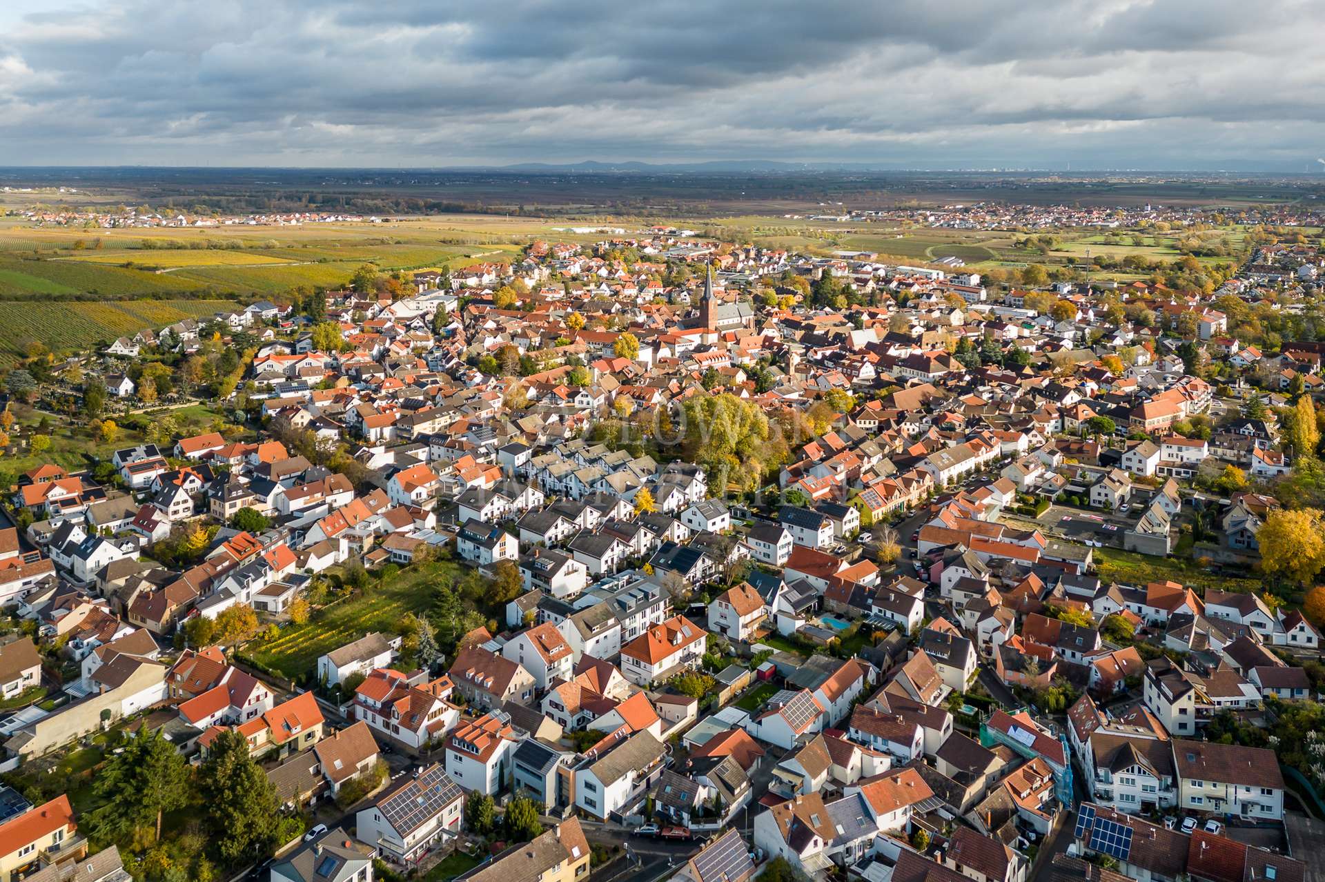 Luftaufnahme Deidesheim