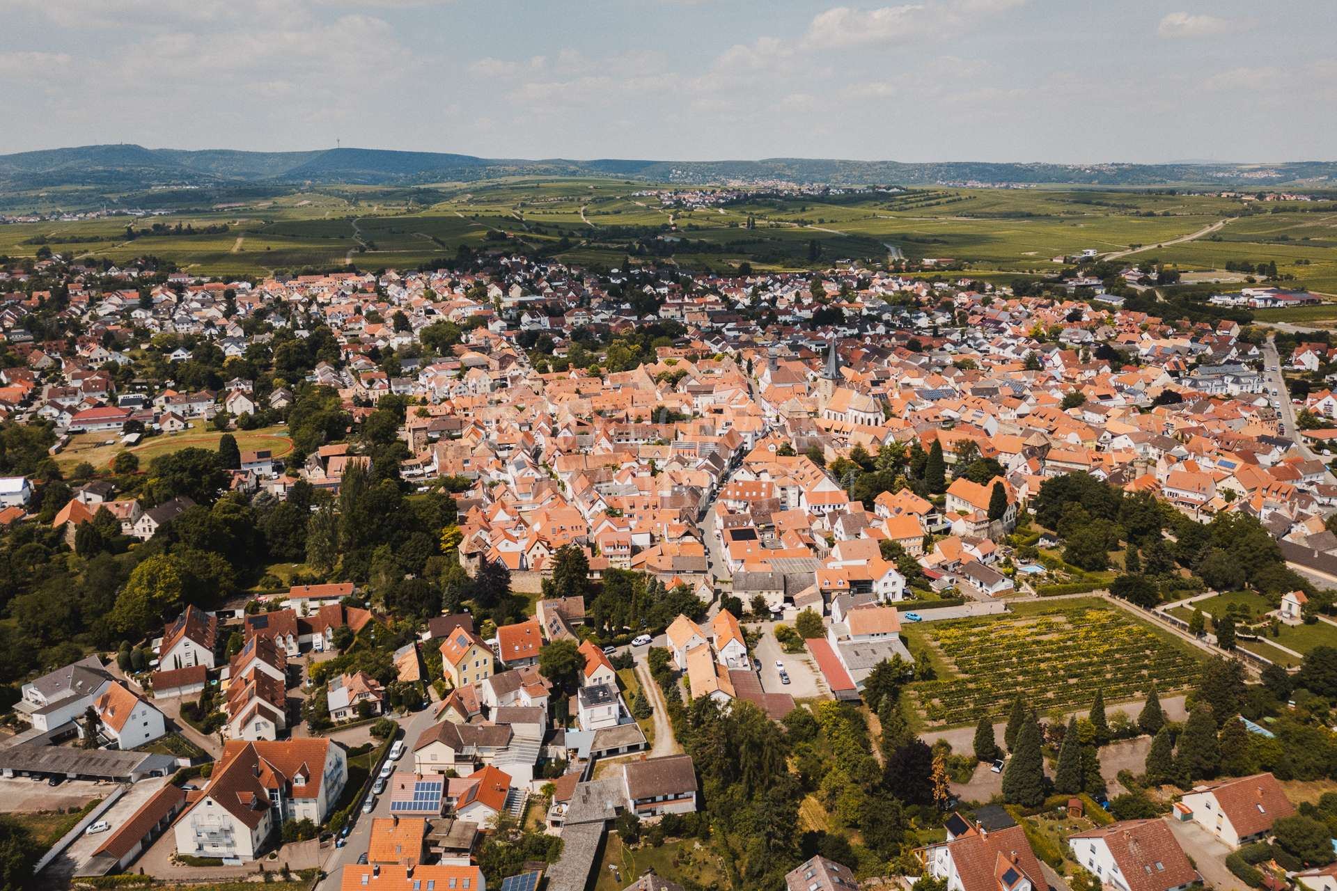 Freinsheim