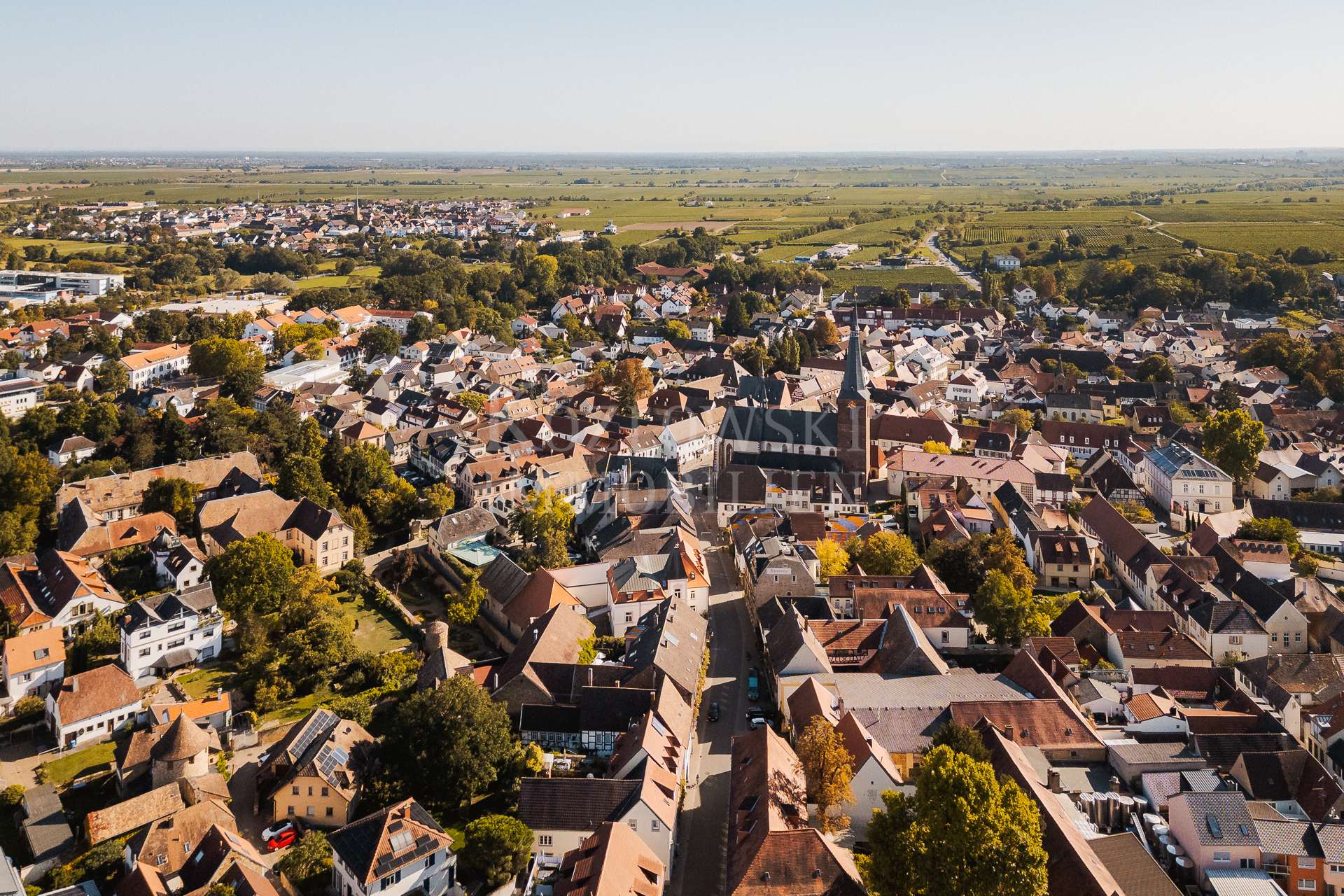 Deidesheim
