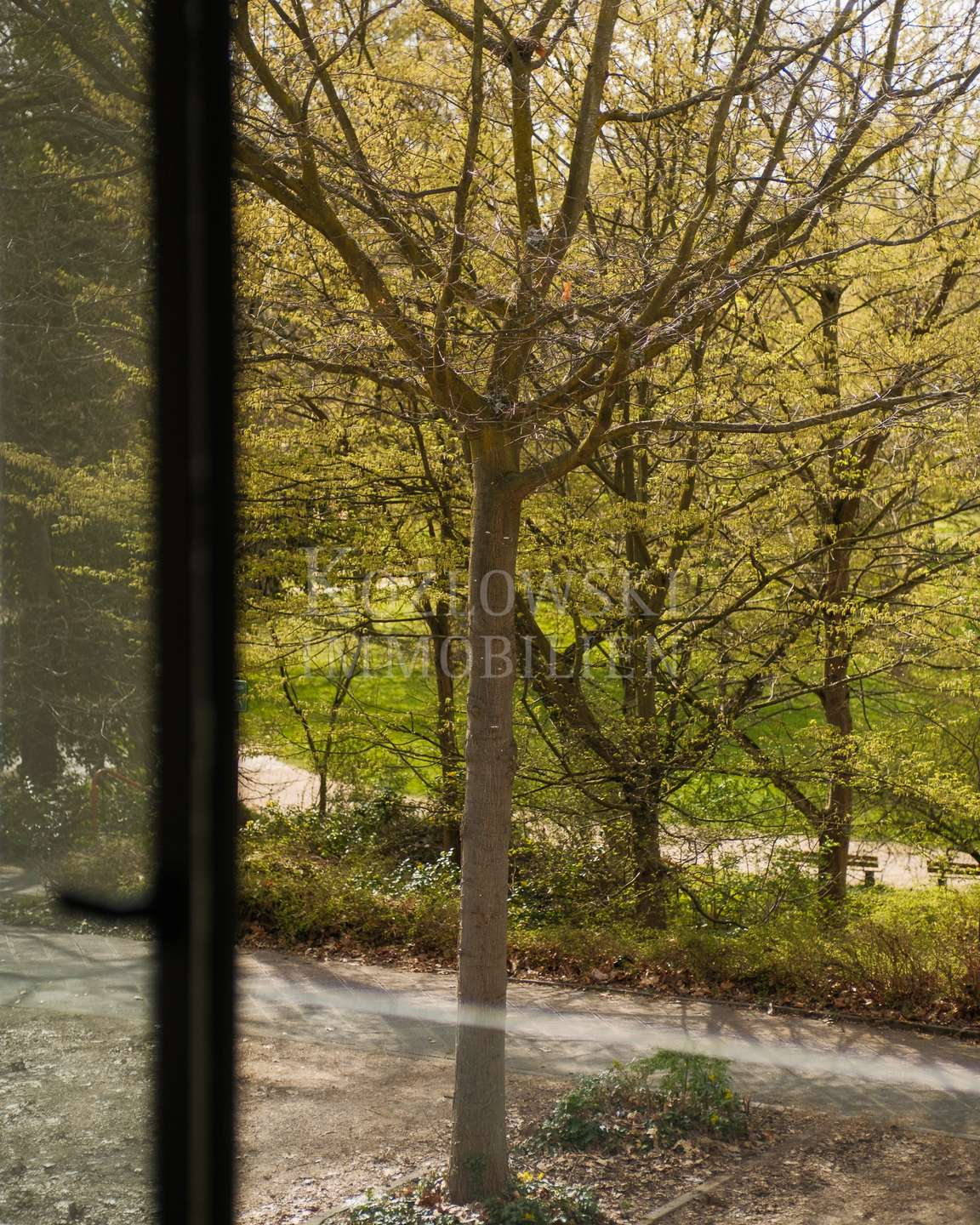 Parkblick