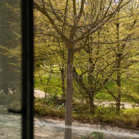 Parkblick