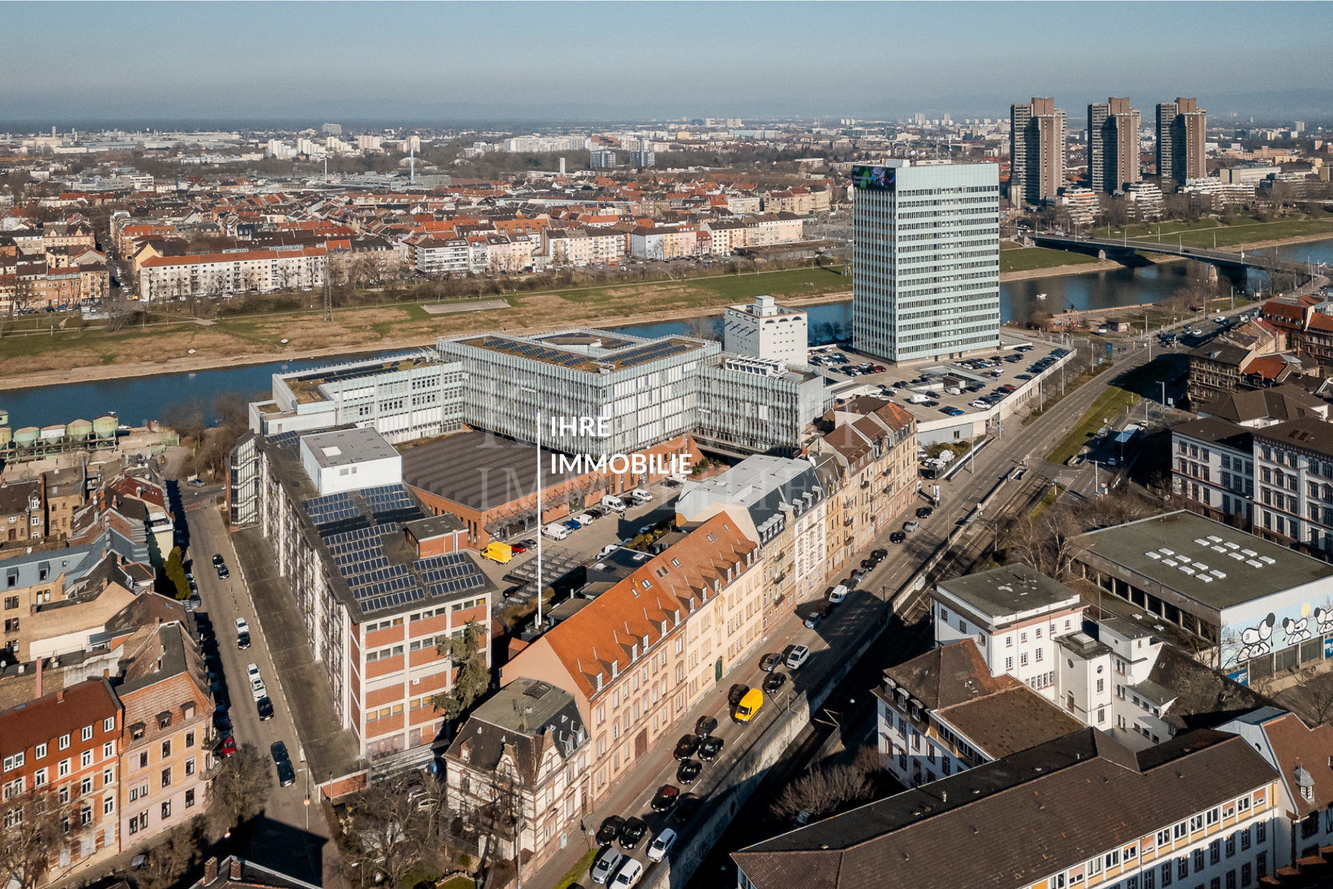 Jungbusch am Neckar