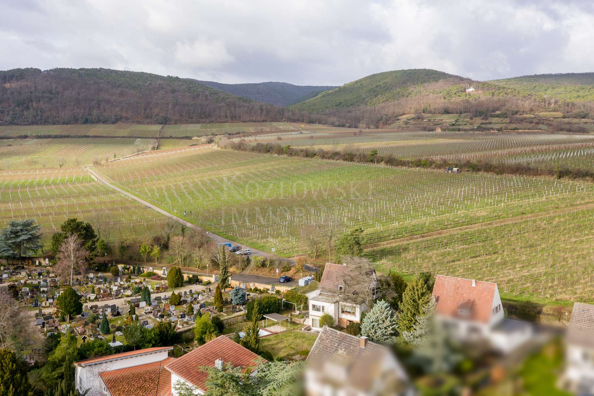 Unverbaubare Weinberglage