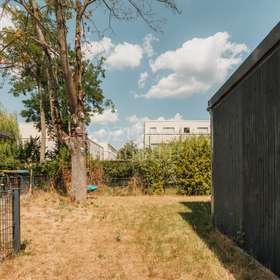 Garten mit Baum