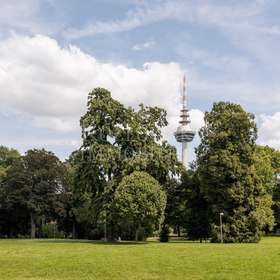 Unterer Luisenpark